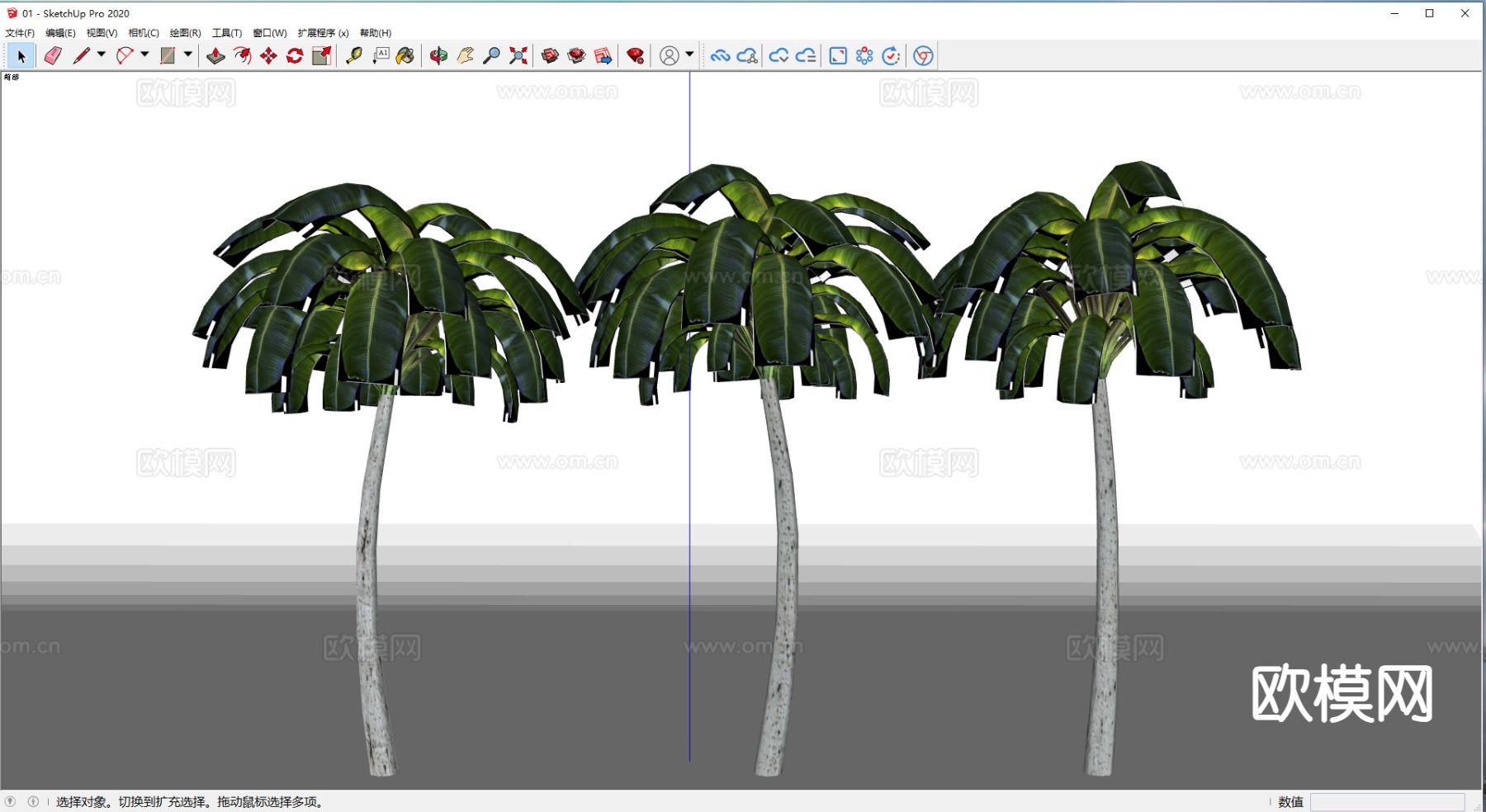 棕榈树 椰子树su模型下载（渲染图1）