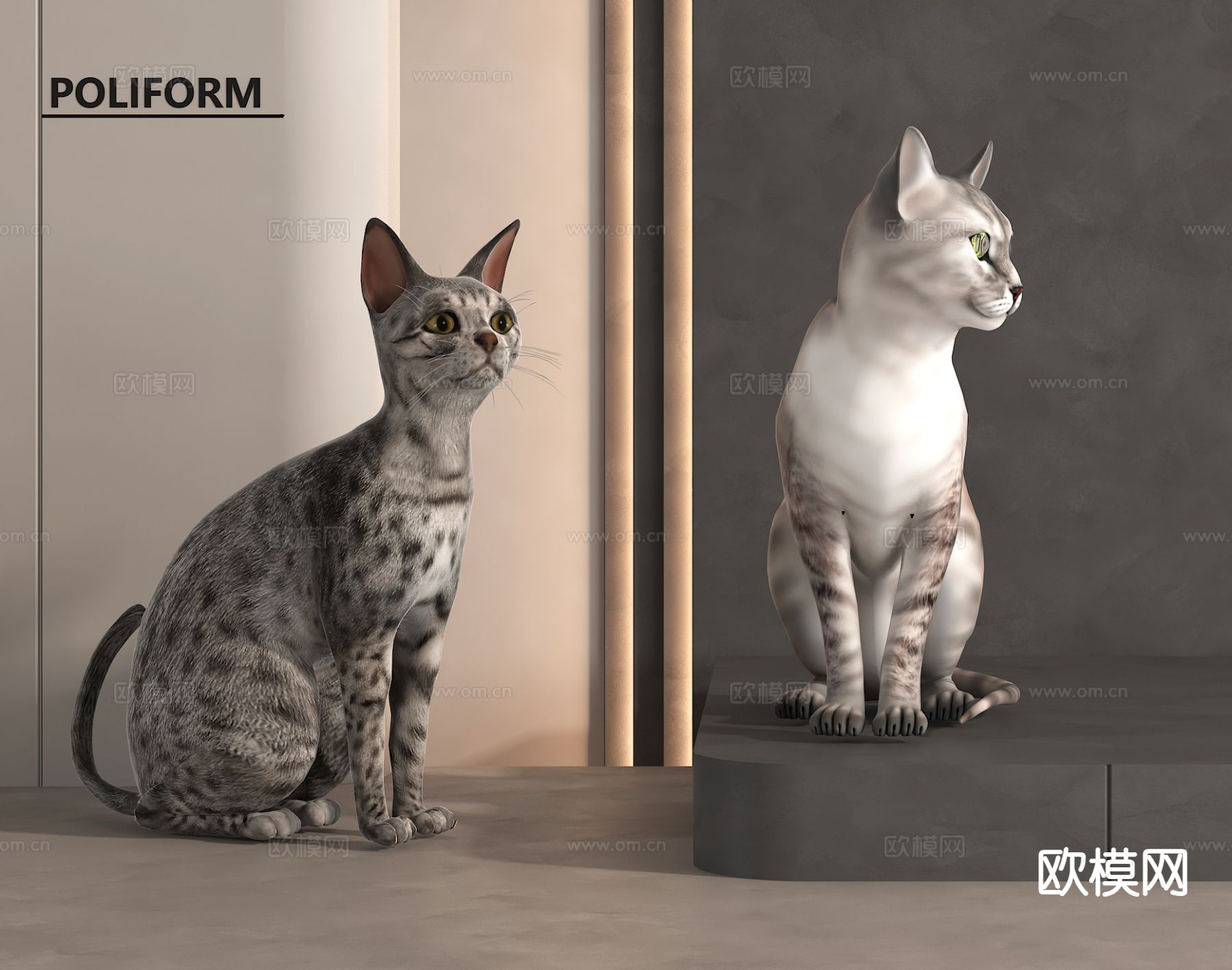 现代猫 宠物猫3d模型