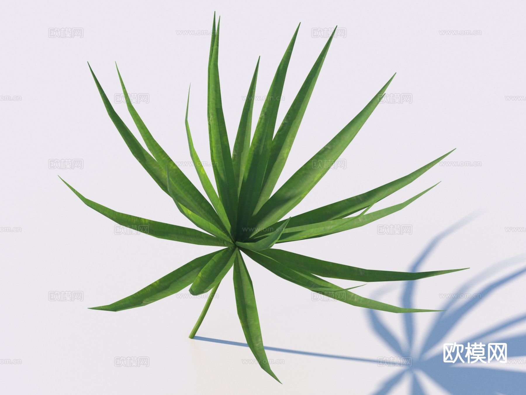 蔬菜 菜叶 树叶 食物3d模型下载