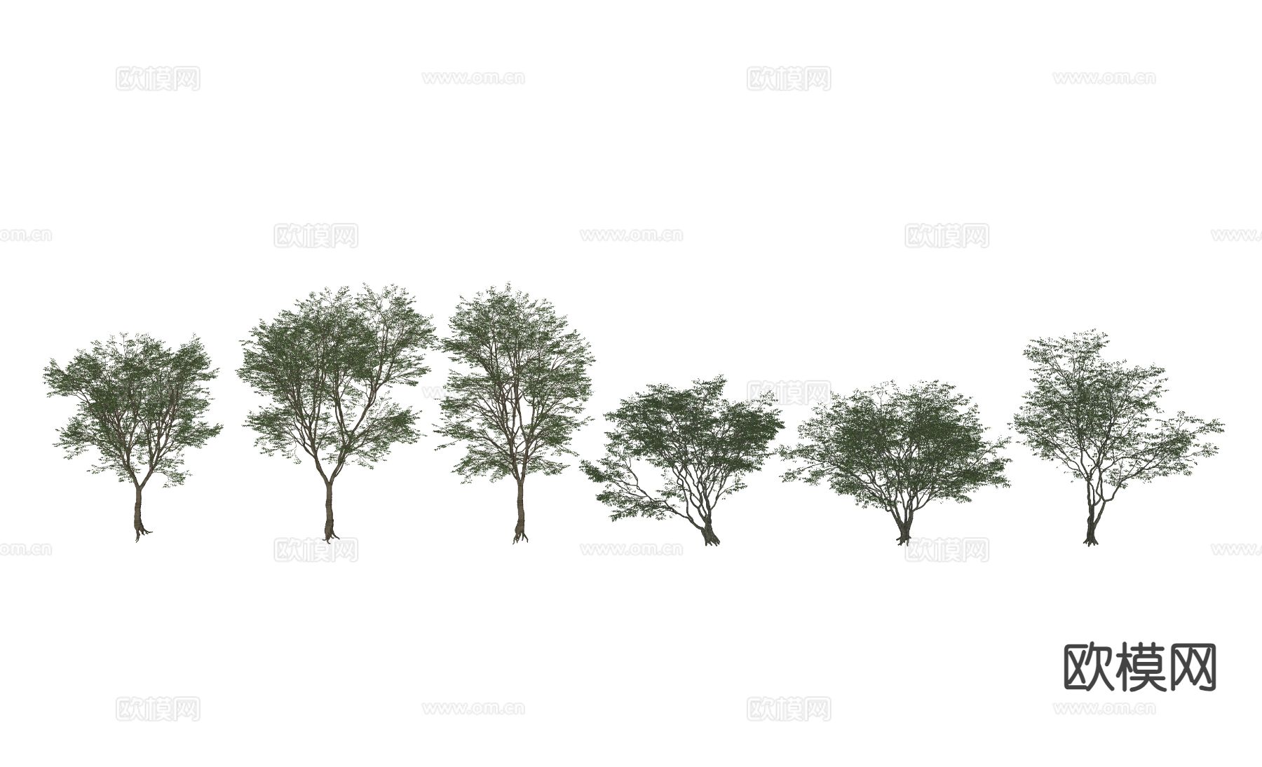 现代行道树 景观树 庭院树 乔木su模型下载（渲染图1）