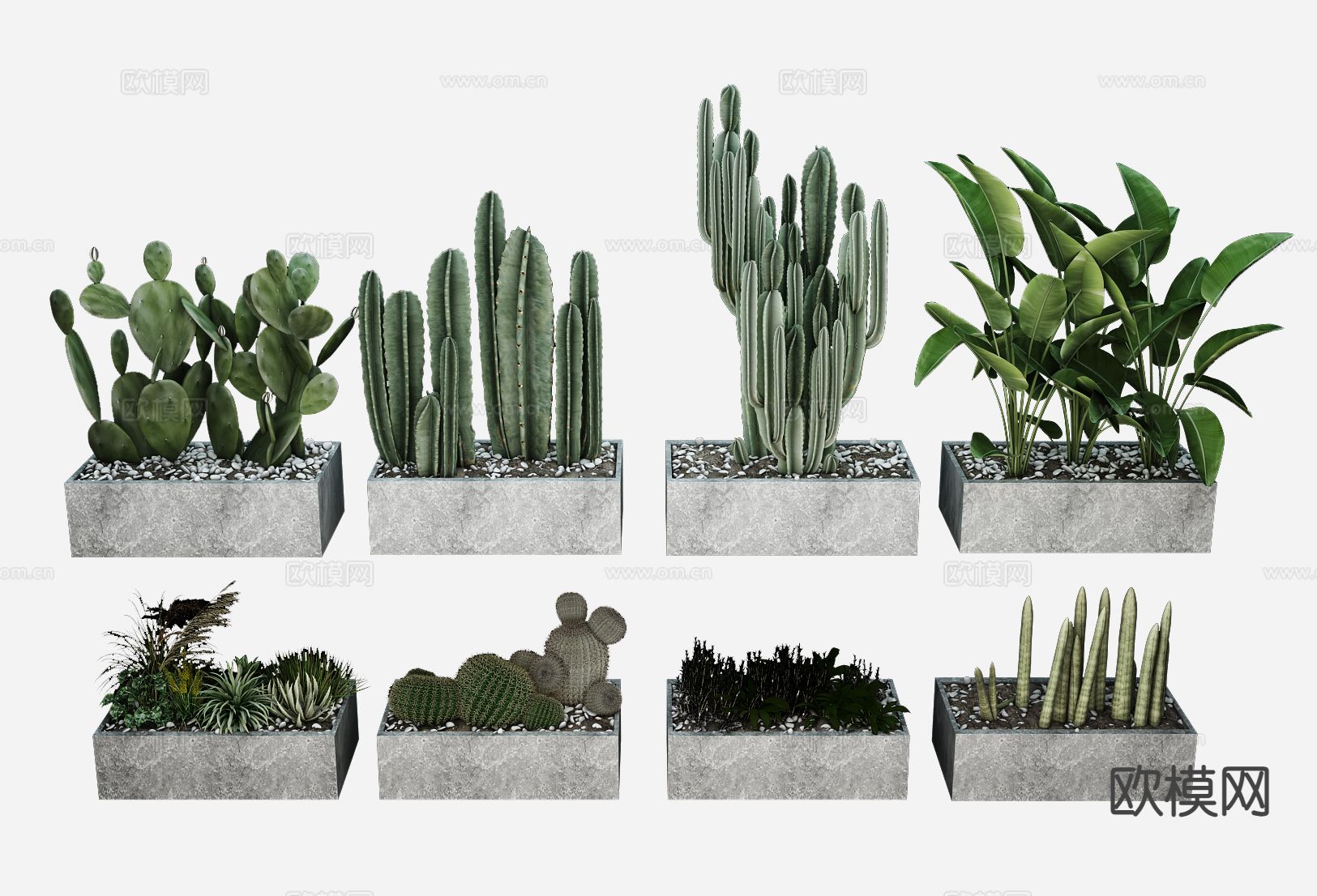 现代仙人掌植物盆栽3d模型