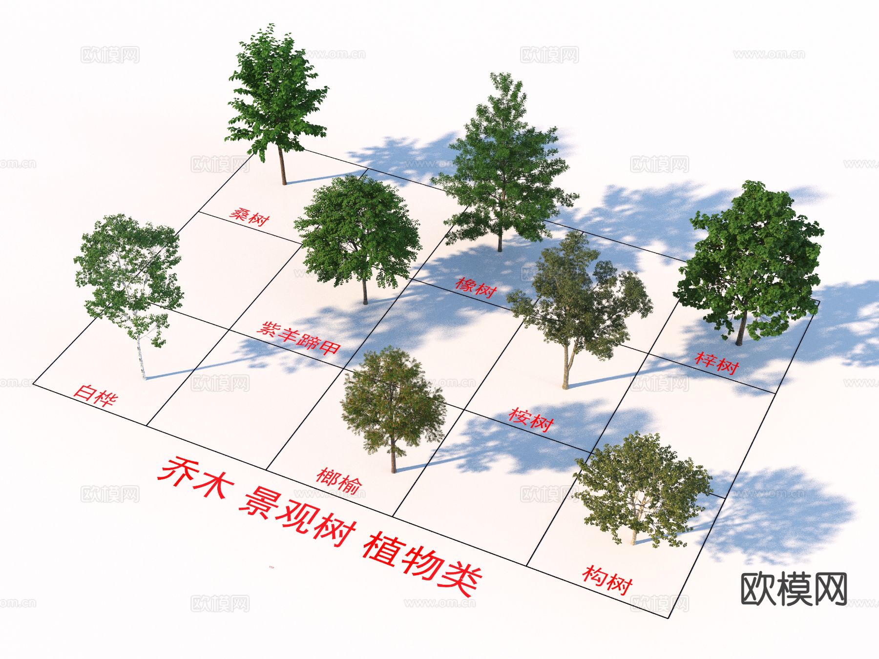 乔木 景观树 行道树3d模型