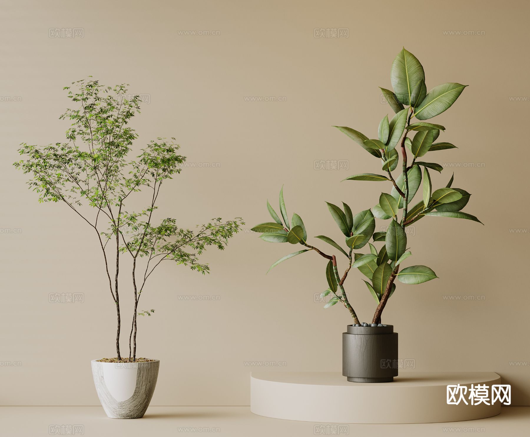 现代绿植盆栽 室内植物3d模型