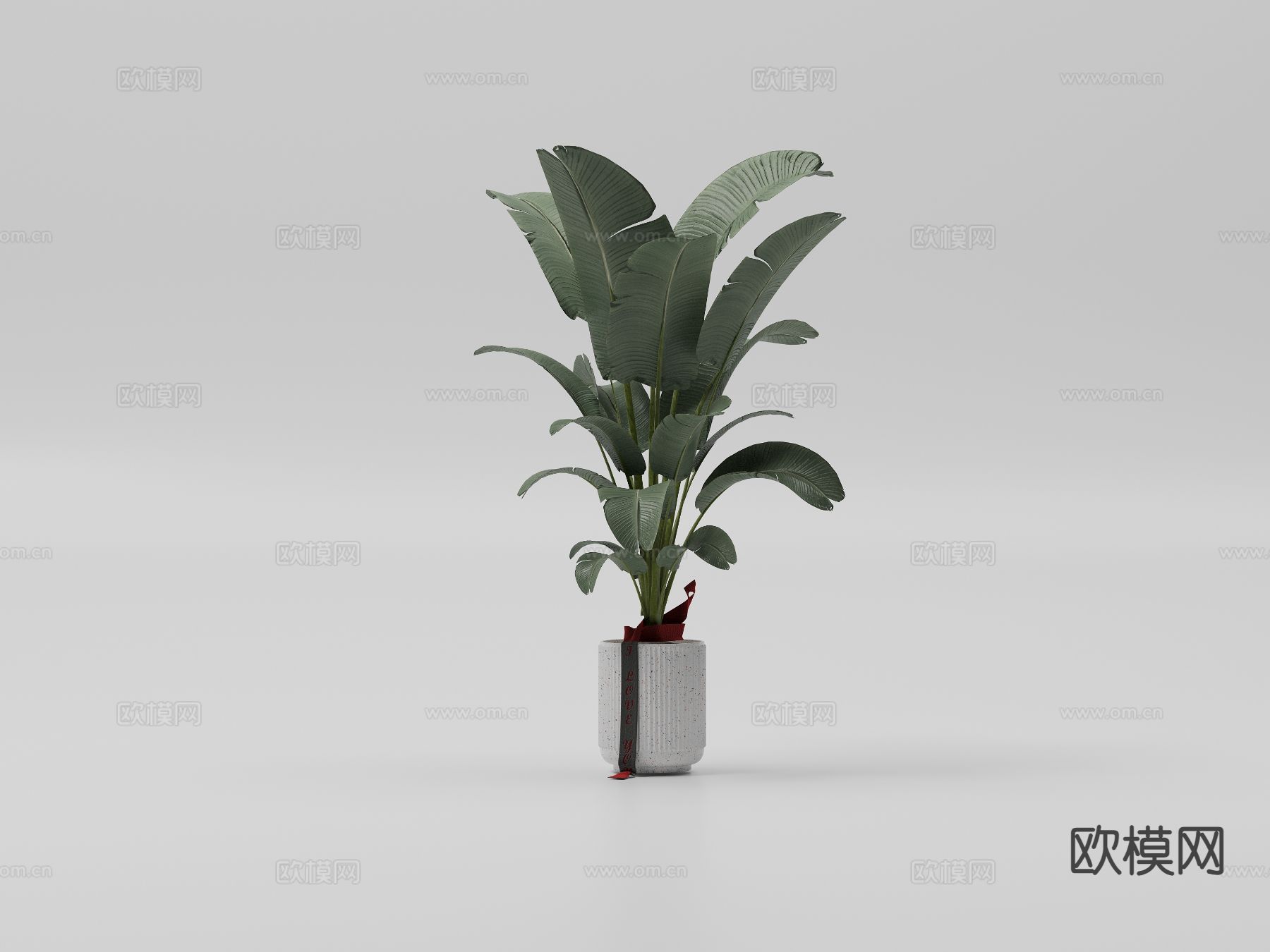 芭蕉叶 绿植盆栽 景观绿植3d模型