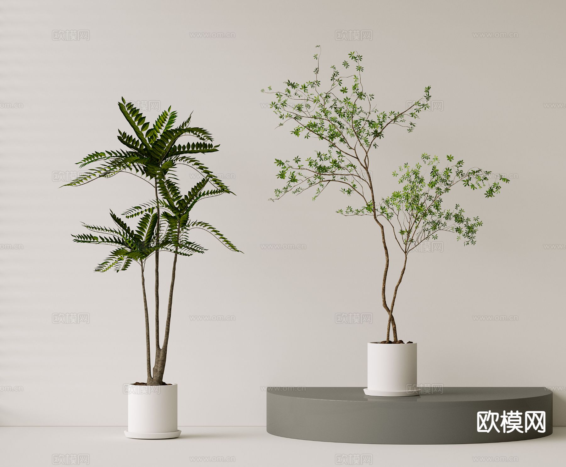 绿植盆栽 室内植物3d模型