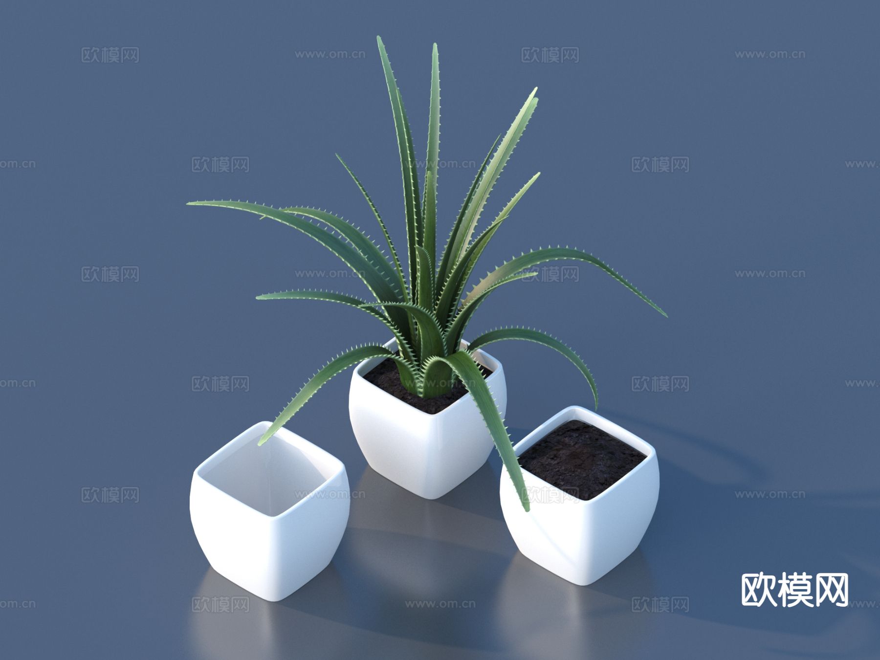 花盆 盆栽 绿植3d模型