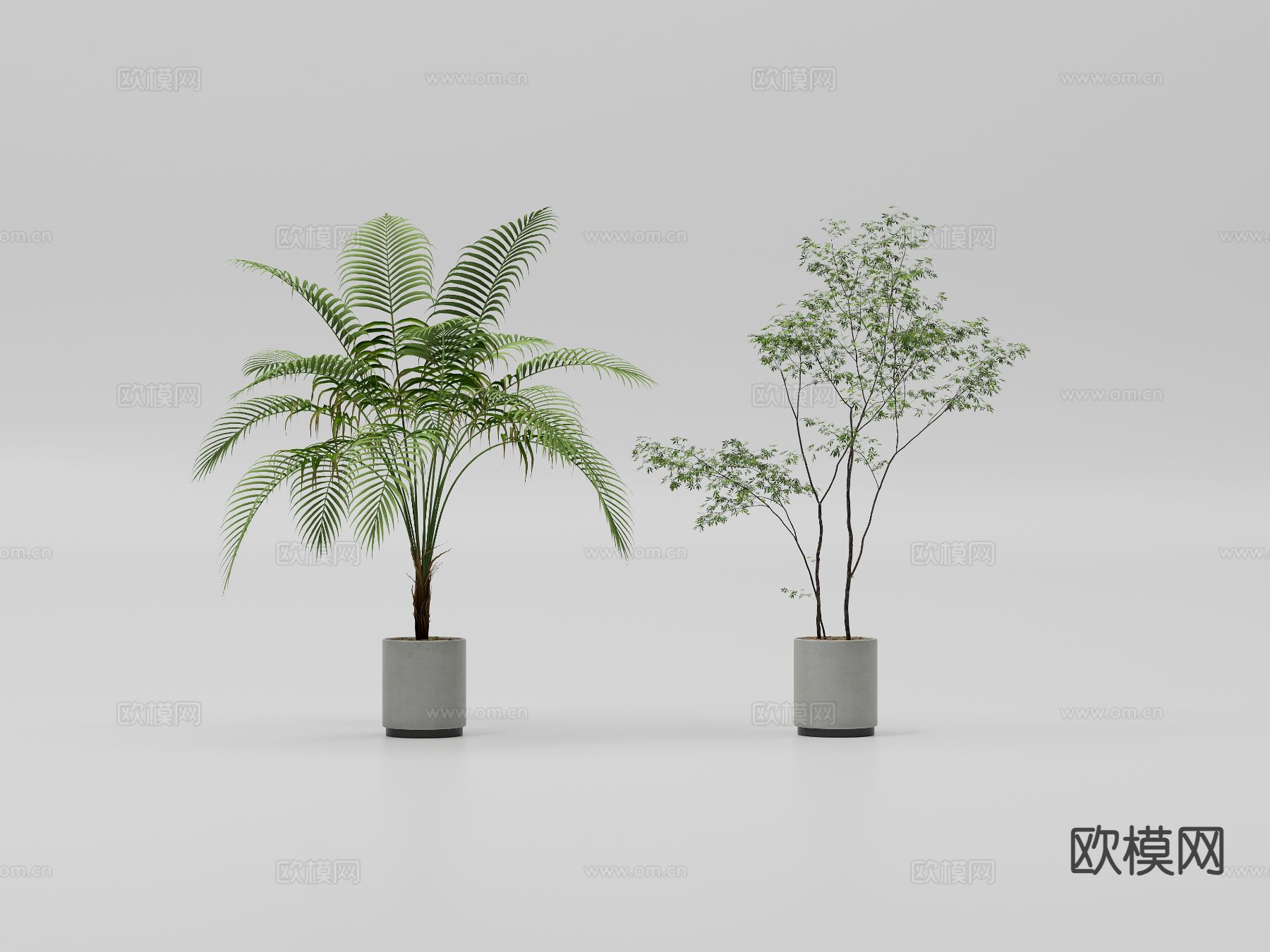 绿植盆栽 景观绿植3d模型