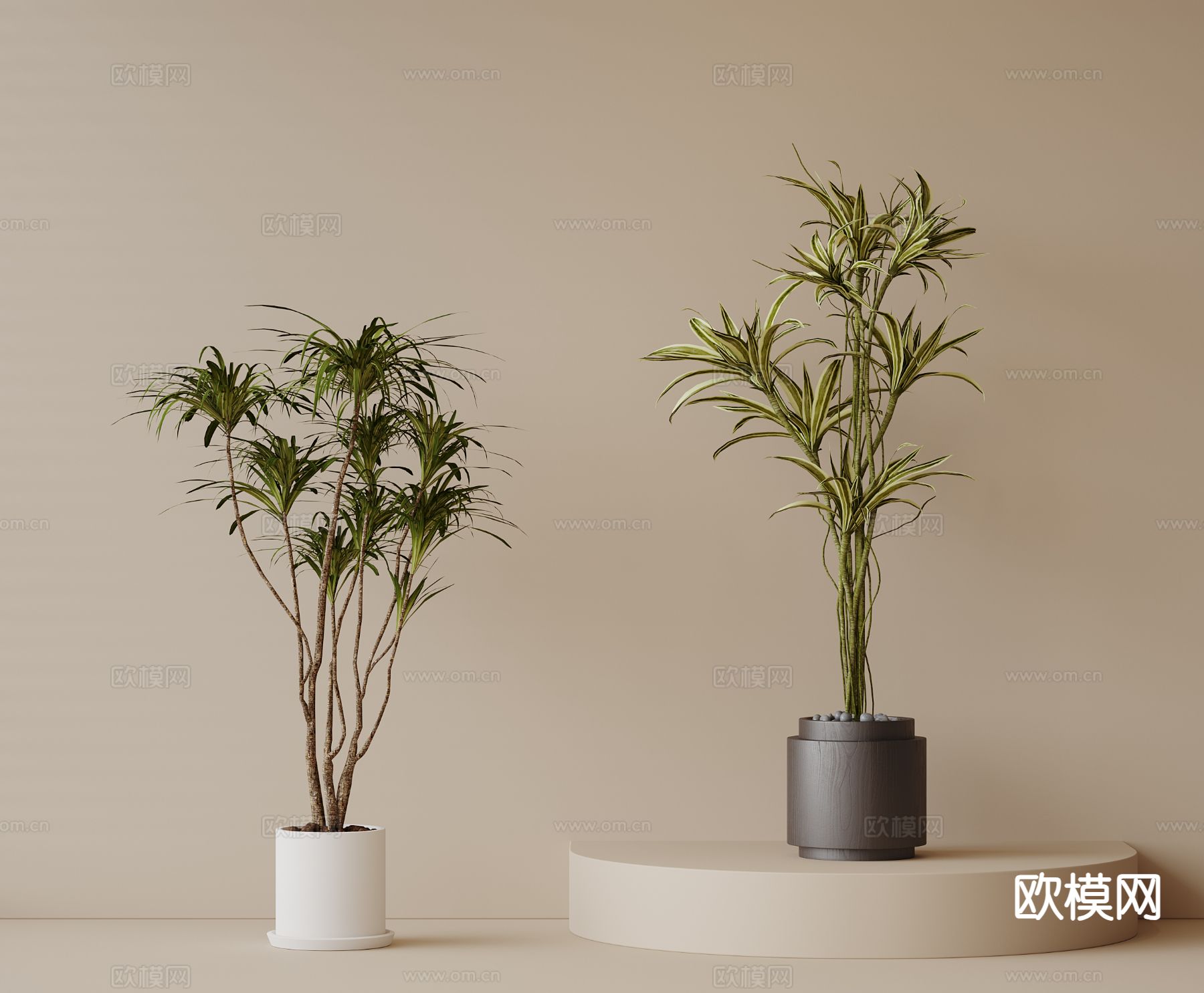 现代绿植盆栽 植物盆栽3d模型