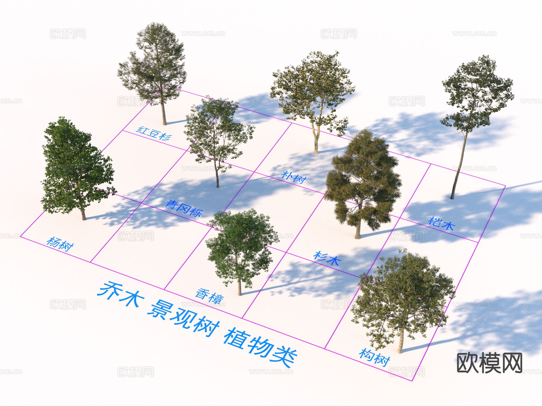 花草 红豆杉 朴树 桤木3d模型