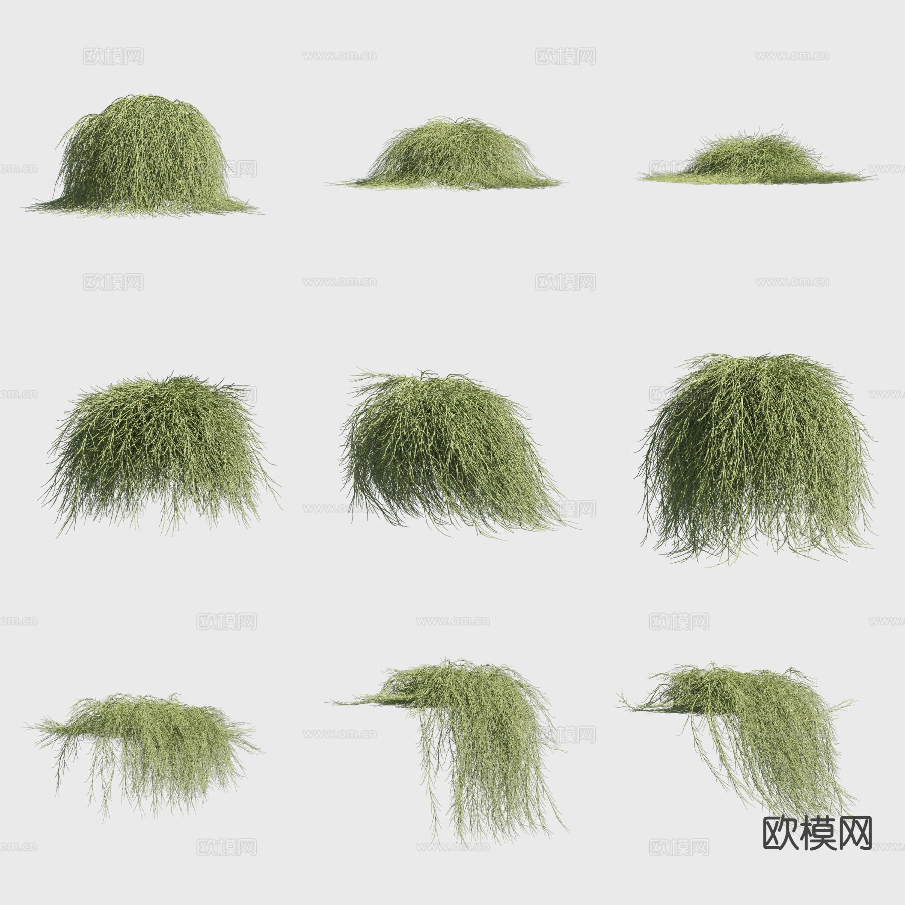 粗枝木麻黄 草堆 野草3d模型