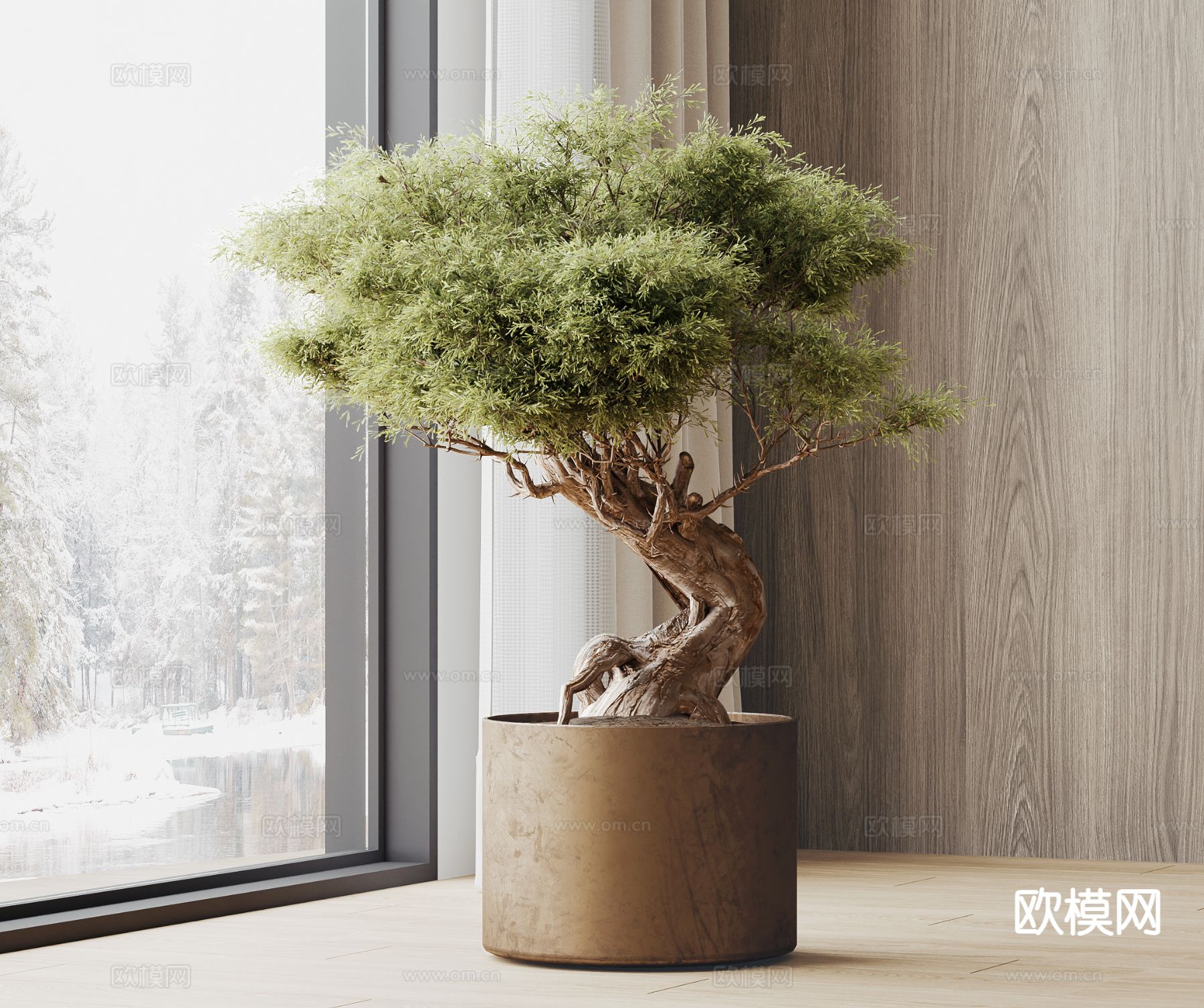 植物盆栽 绿植3d模型