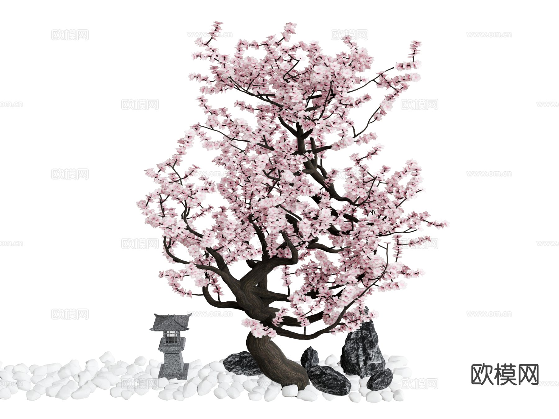 植物 樱花树su模型下载（渲染图2）