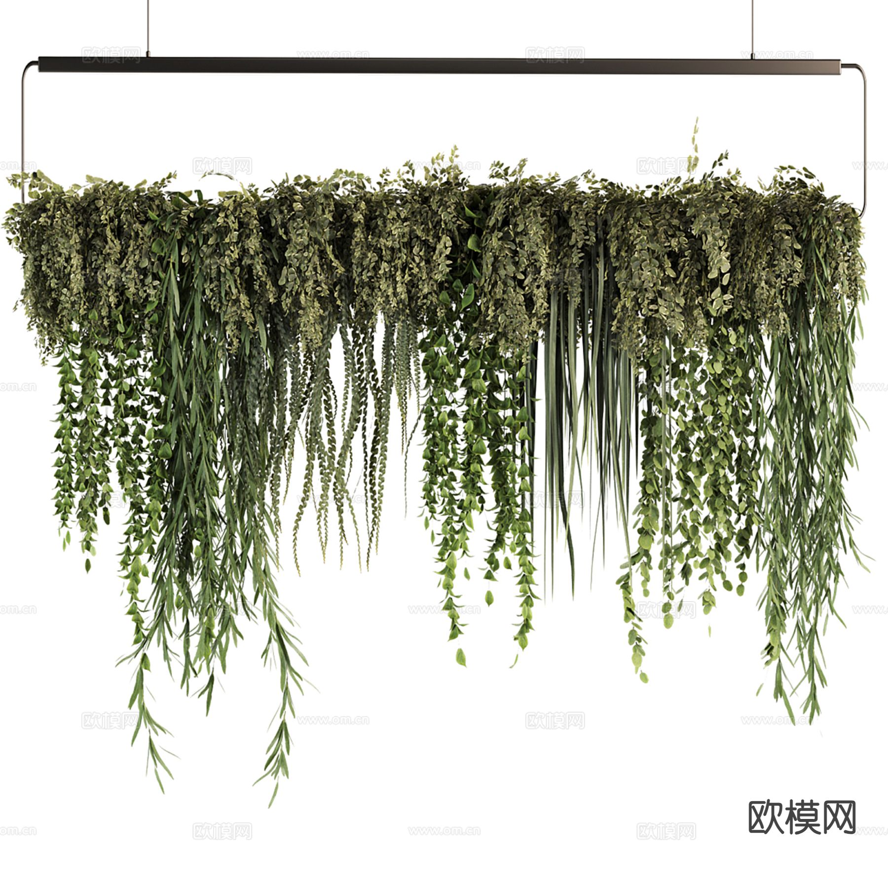 现代吊挂植物 藤蔓吊兰3d模型