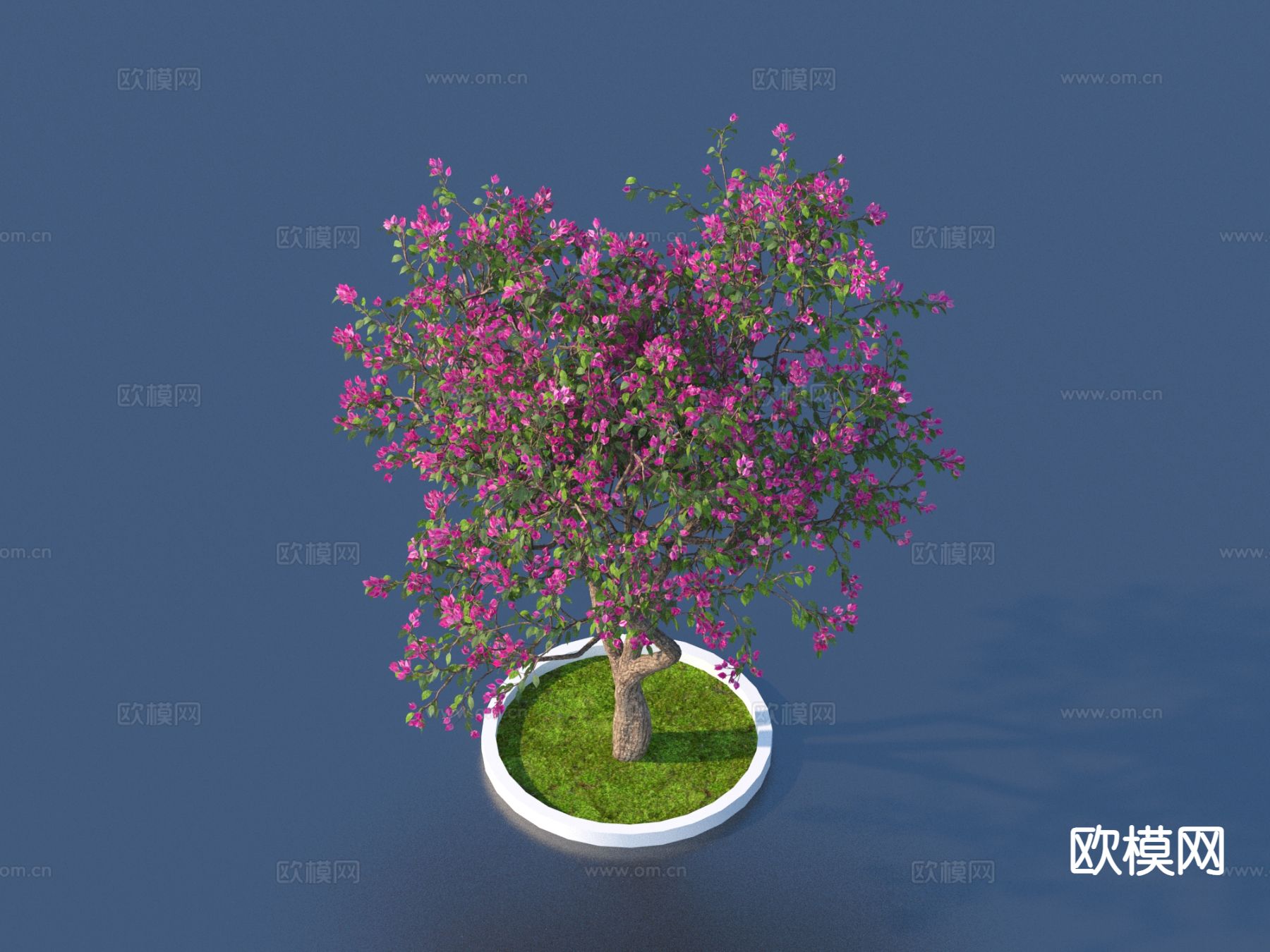 桃花树 树池 景观树3d模型