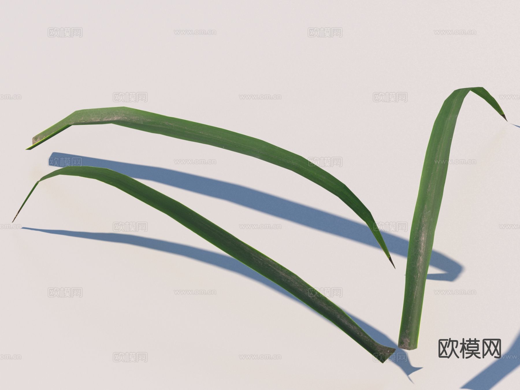 蔬菜 菜叶 树叶 食物3d模型下载