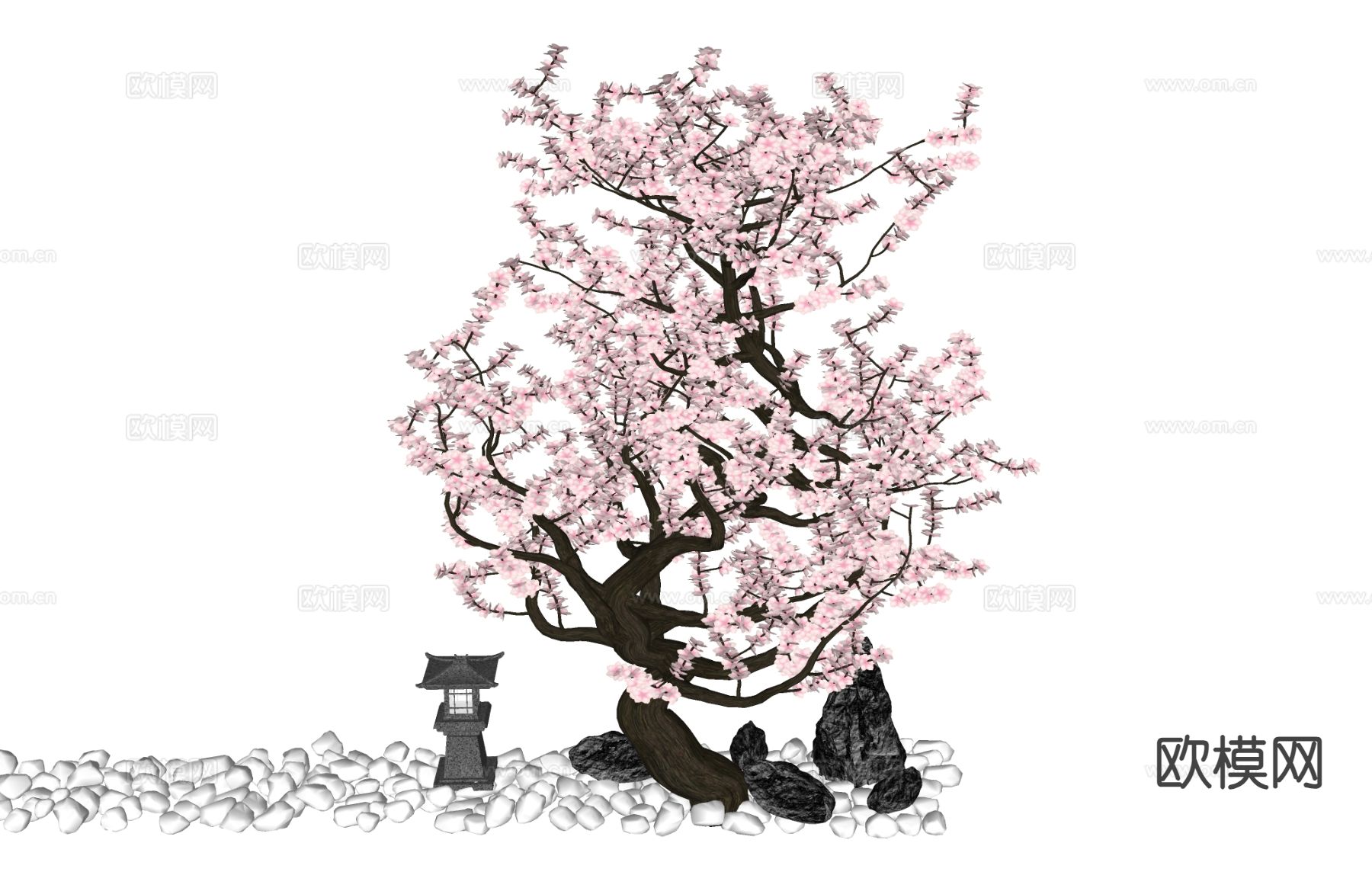 植物 樱花树su模型下载（渲染图1）