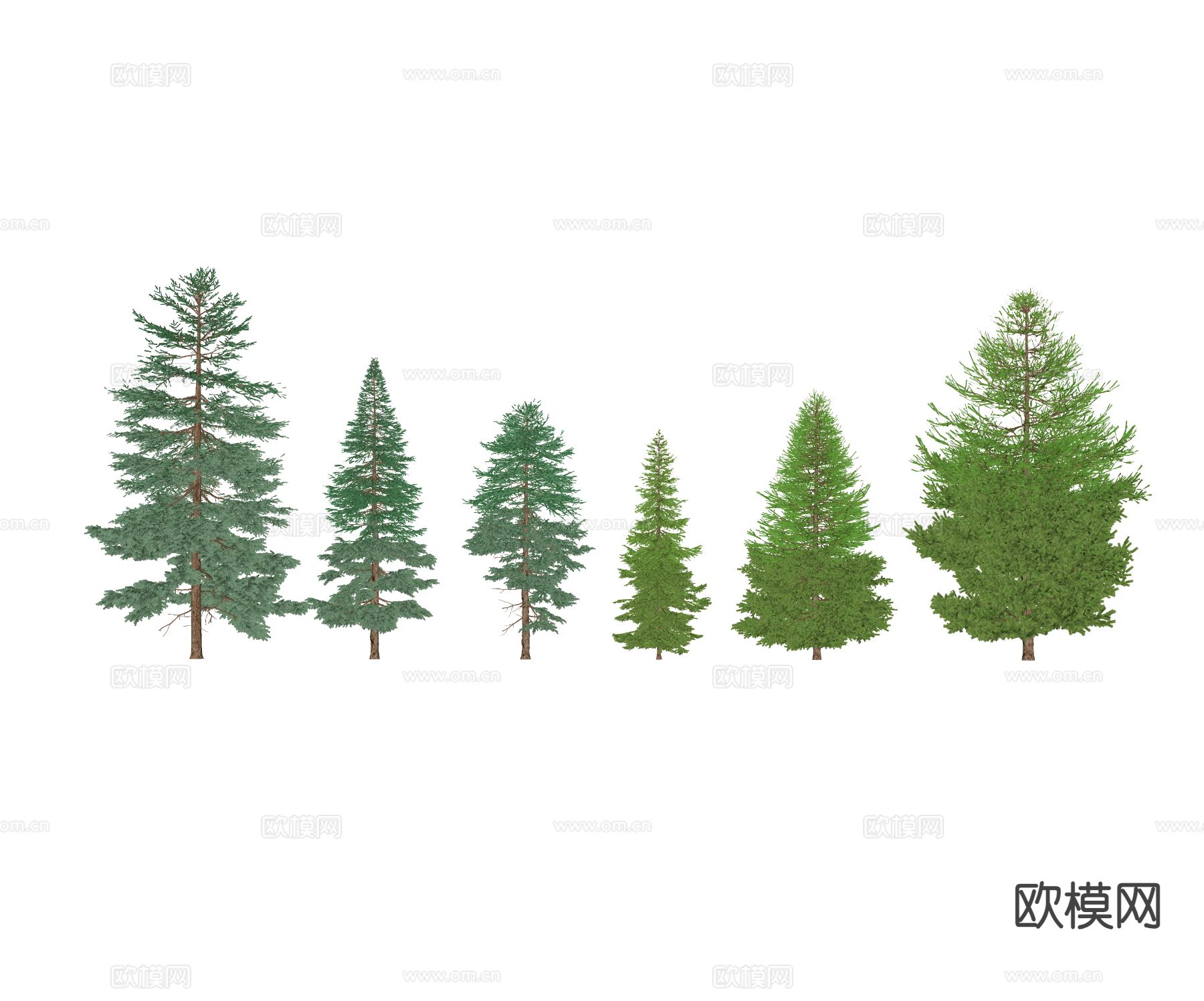 现代行道树 景观树 雪松树 柏树su模型下载（渲染图1）