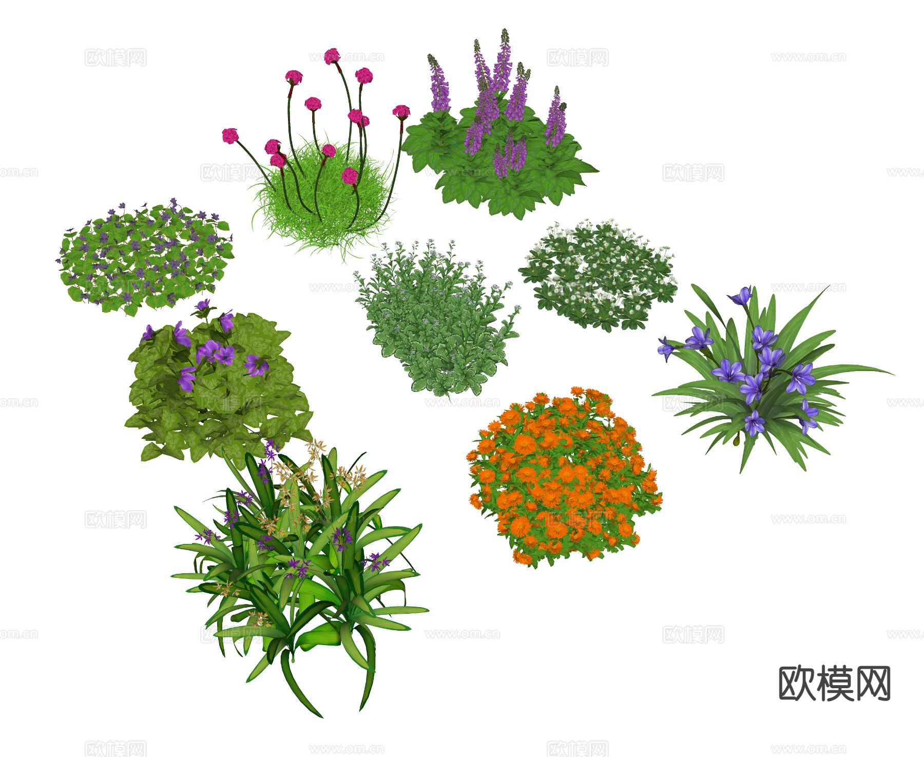 花草 植物 绿植su模型下载（渲染图1）