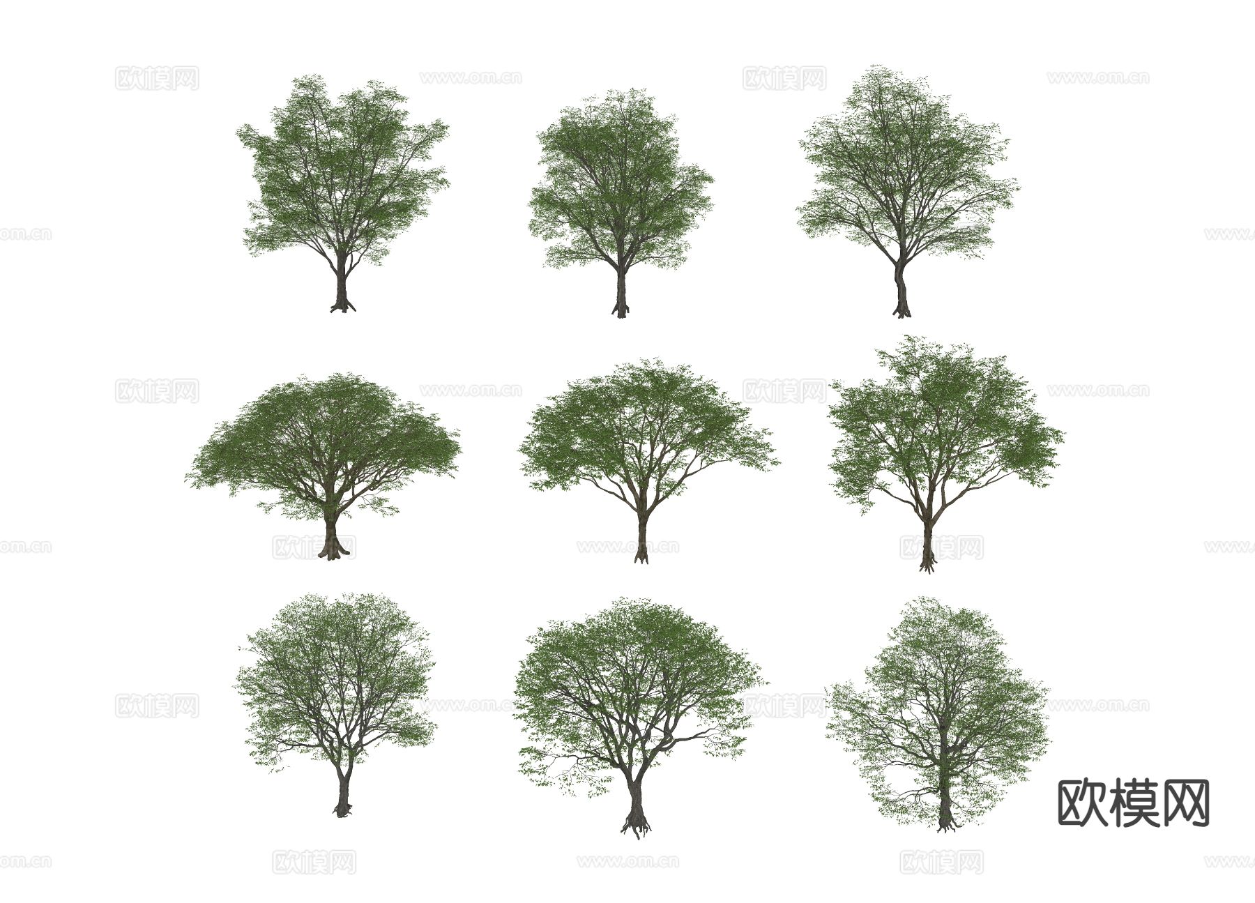 行道树 景观树 庭院树 乔木su模型下载（渲染图2）
