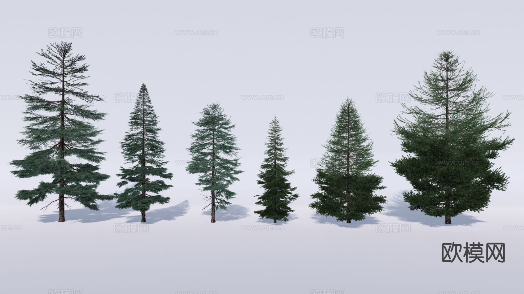 现代行道树 景观树 雪松树 柏树su模型下载（渲染图2）