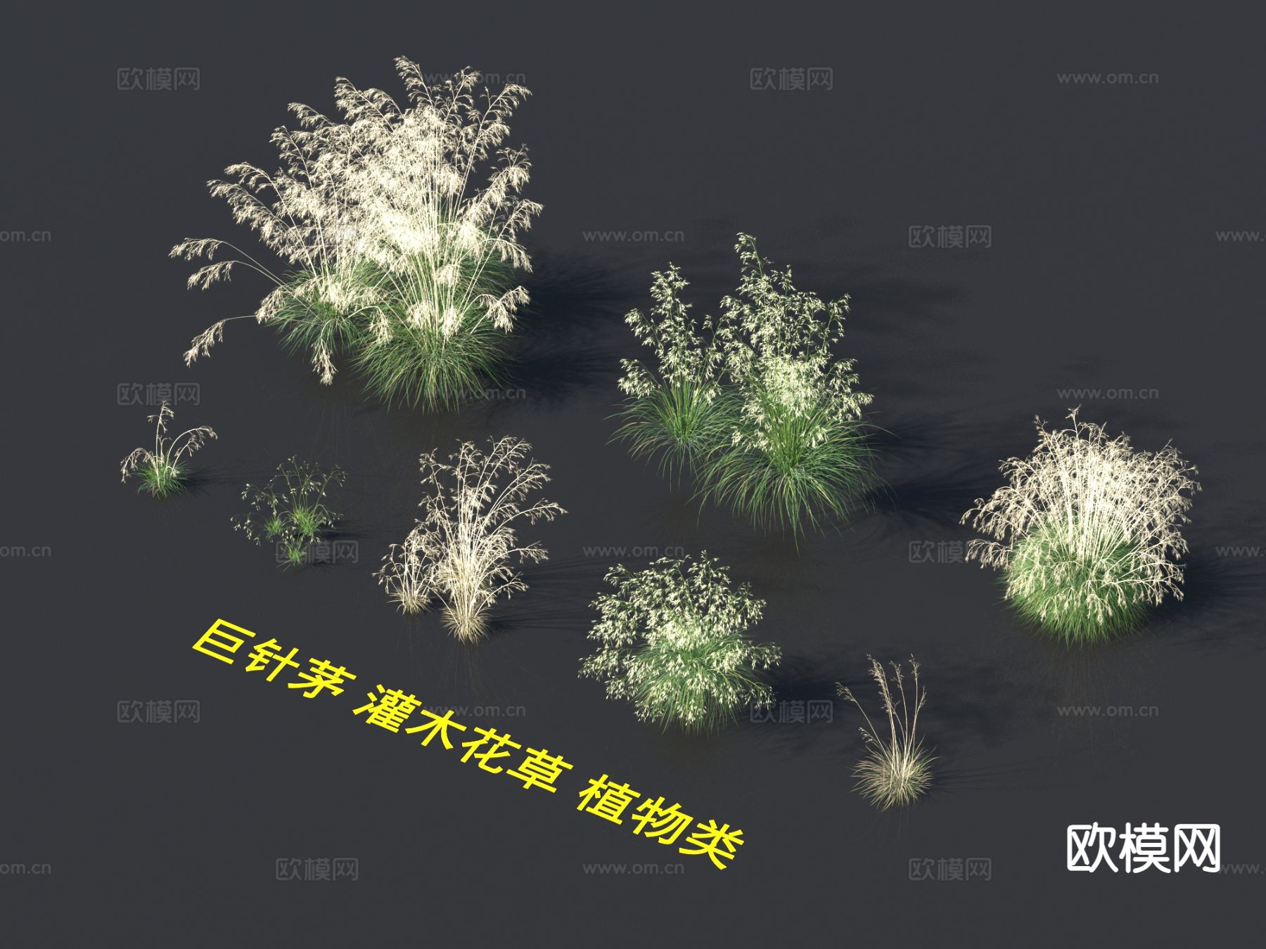 巨针茅 灌木花草 植物类3d模型