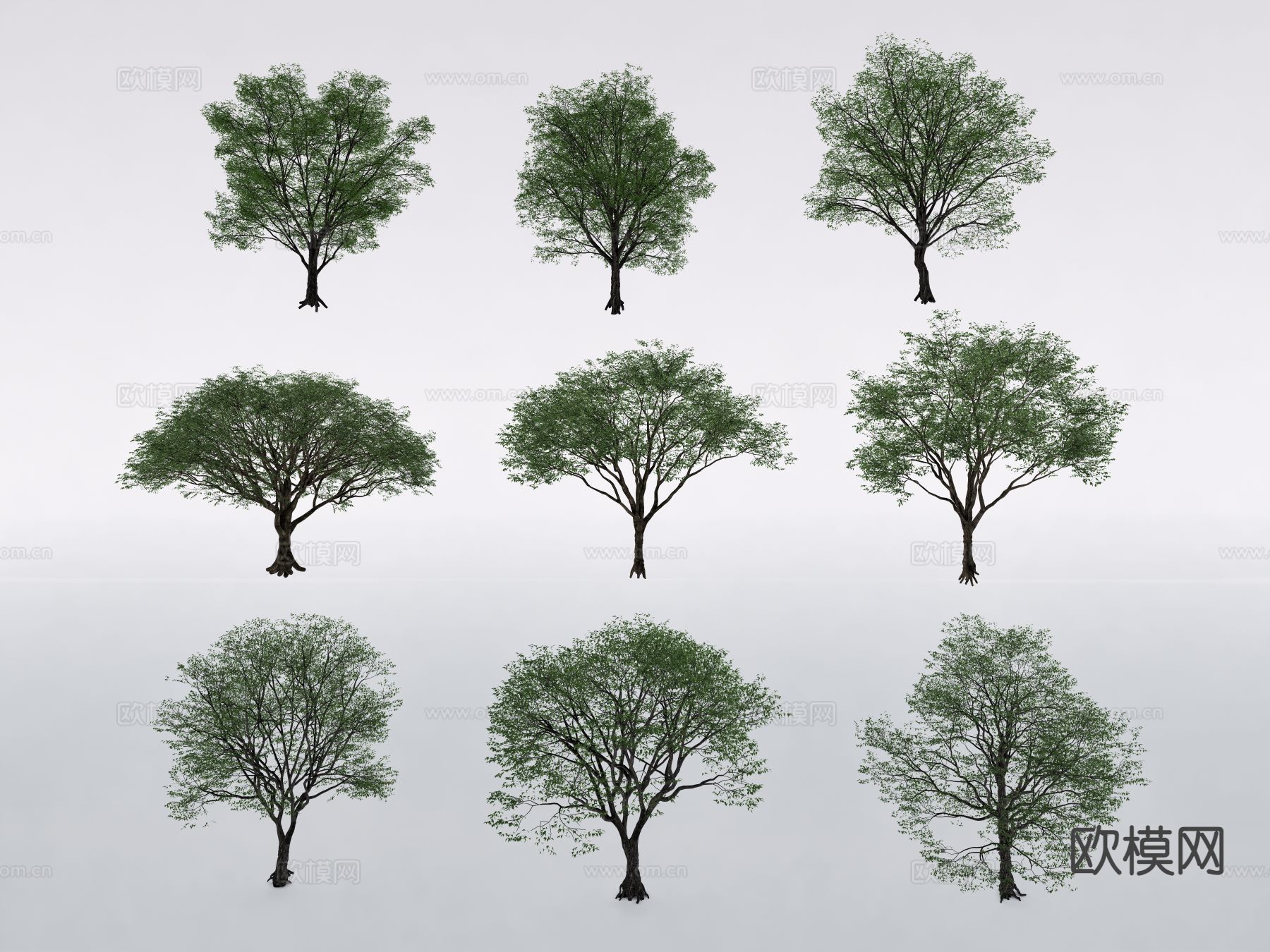 行道树 景观树 庭院树 乔木su模型下载（渲染图1）
