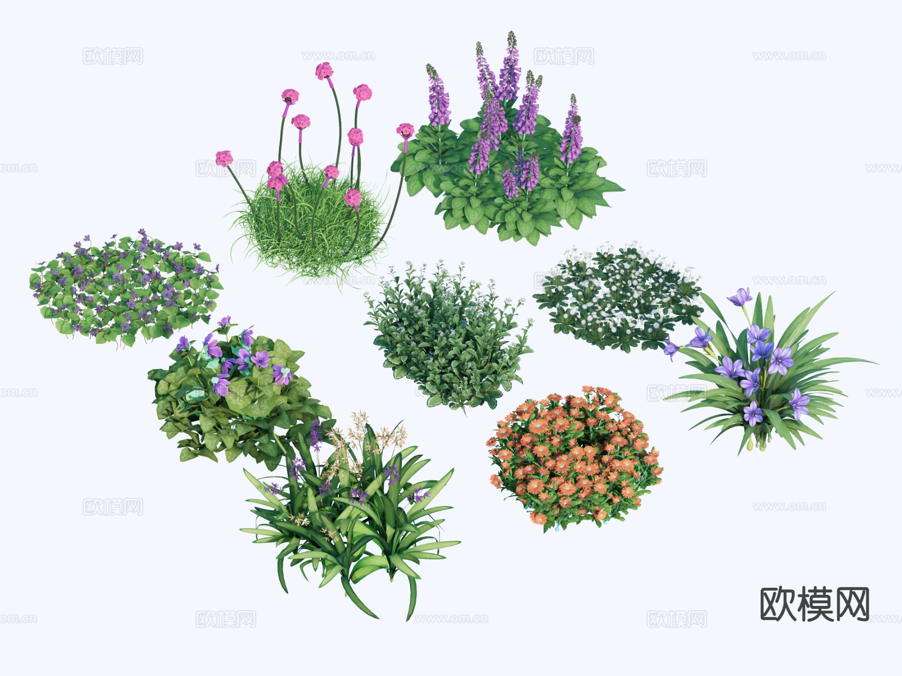 花草 植物 绿植su模型下载（渲染图2）