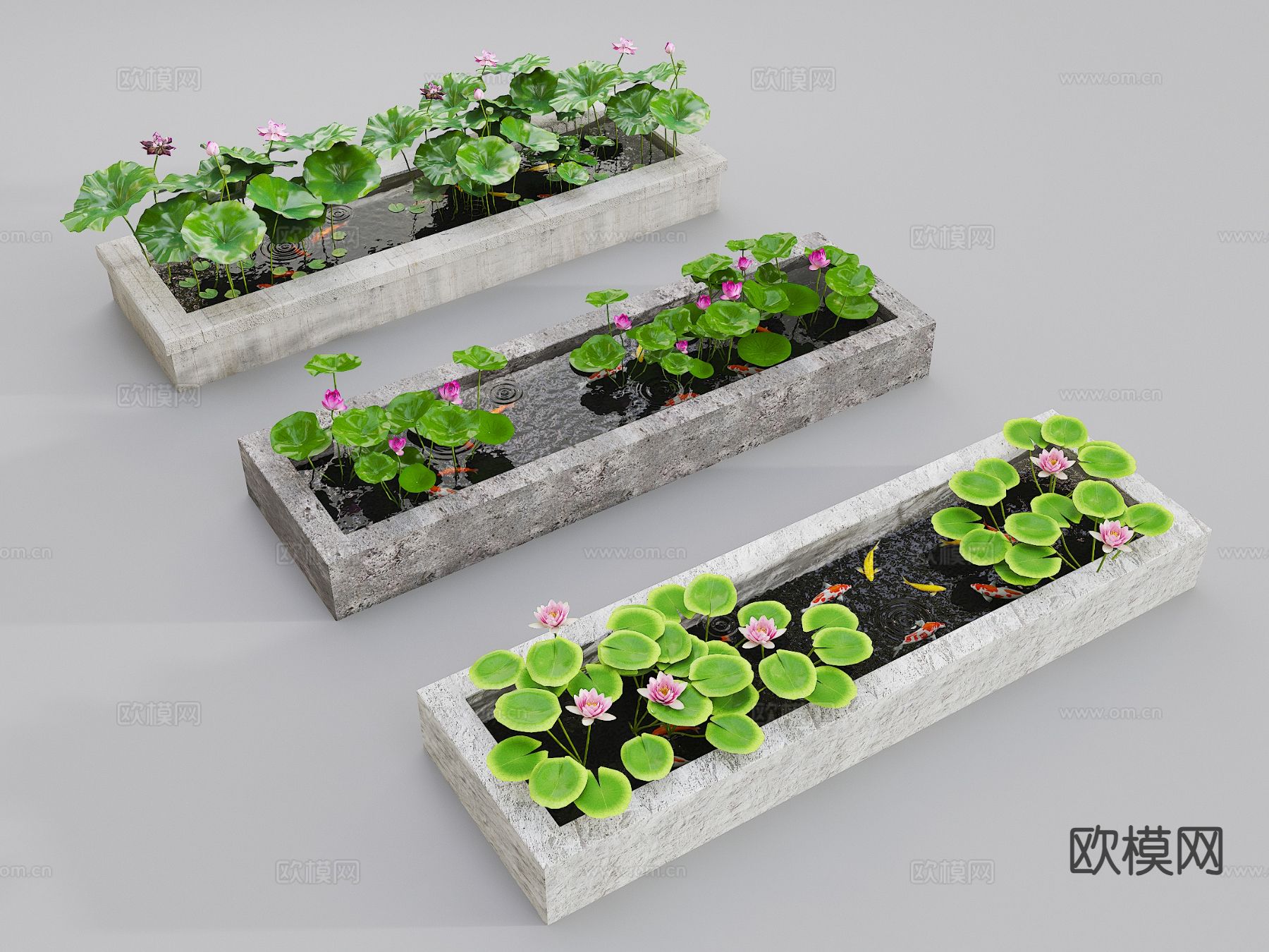 锦鲤池 原生水槽养鱼 荷花池 鱼池3d模型下载