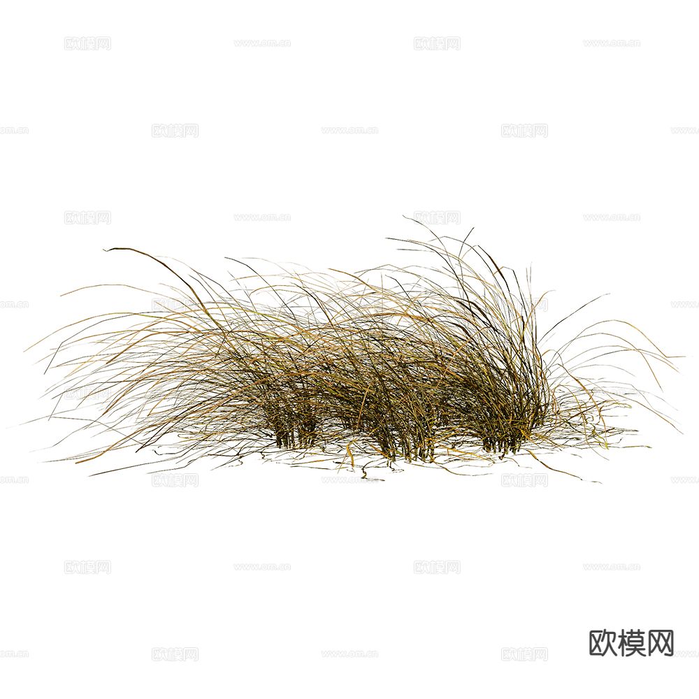 野草 灌木花草3d模型