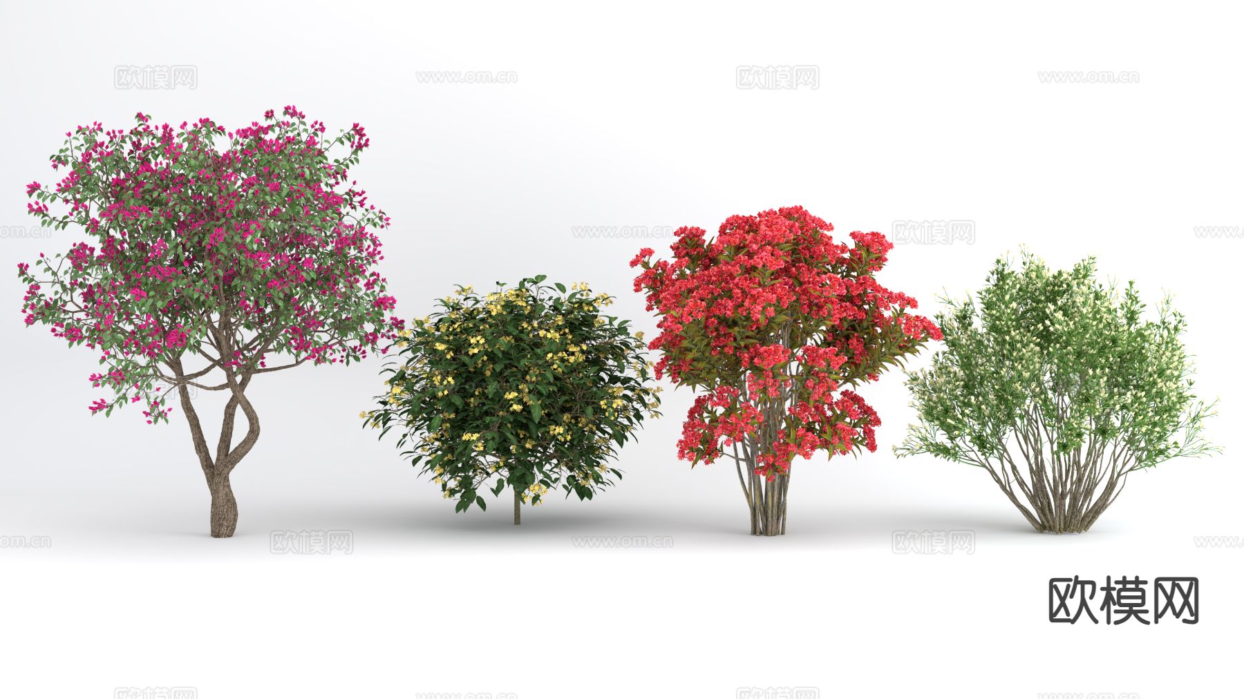 三角梅 花灌木su模型下载（渲染图2）