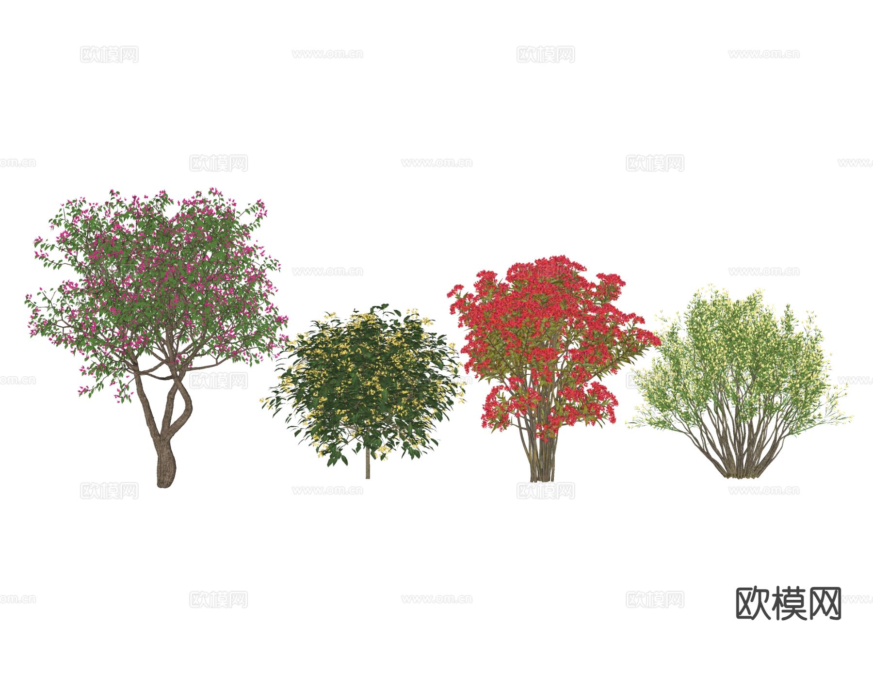 三角梅 花灌木su模型下载（渲染图1）