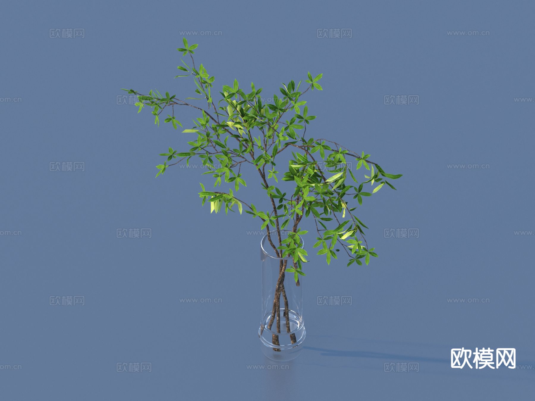 水生植物 水培绿植3d模型下载