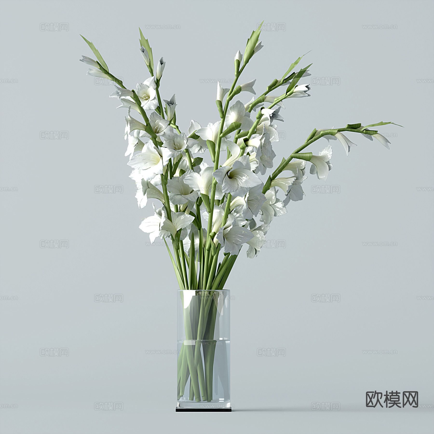 现代水生植物3d模型