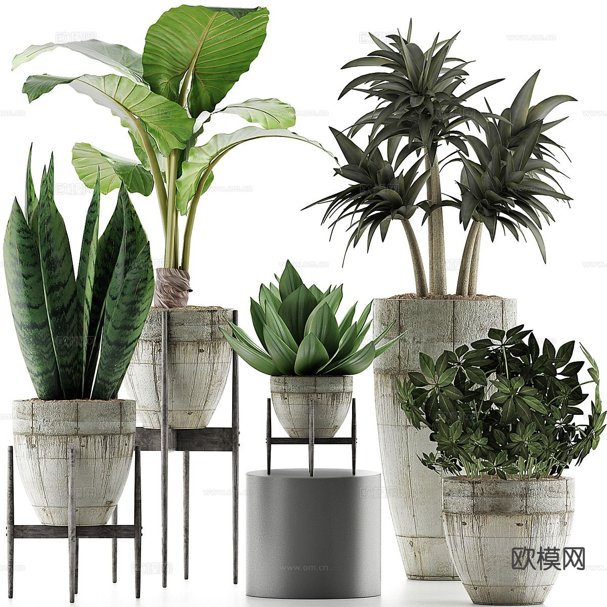 现代植物盆栽 绿植盆栽3d模型