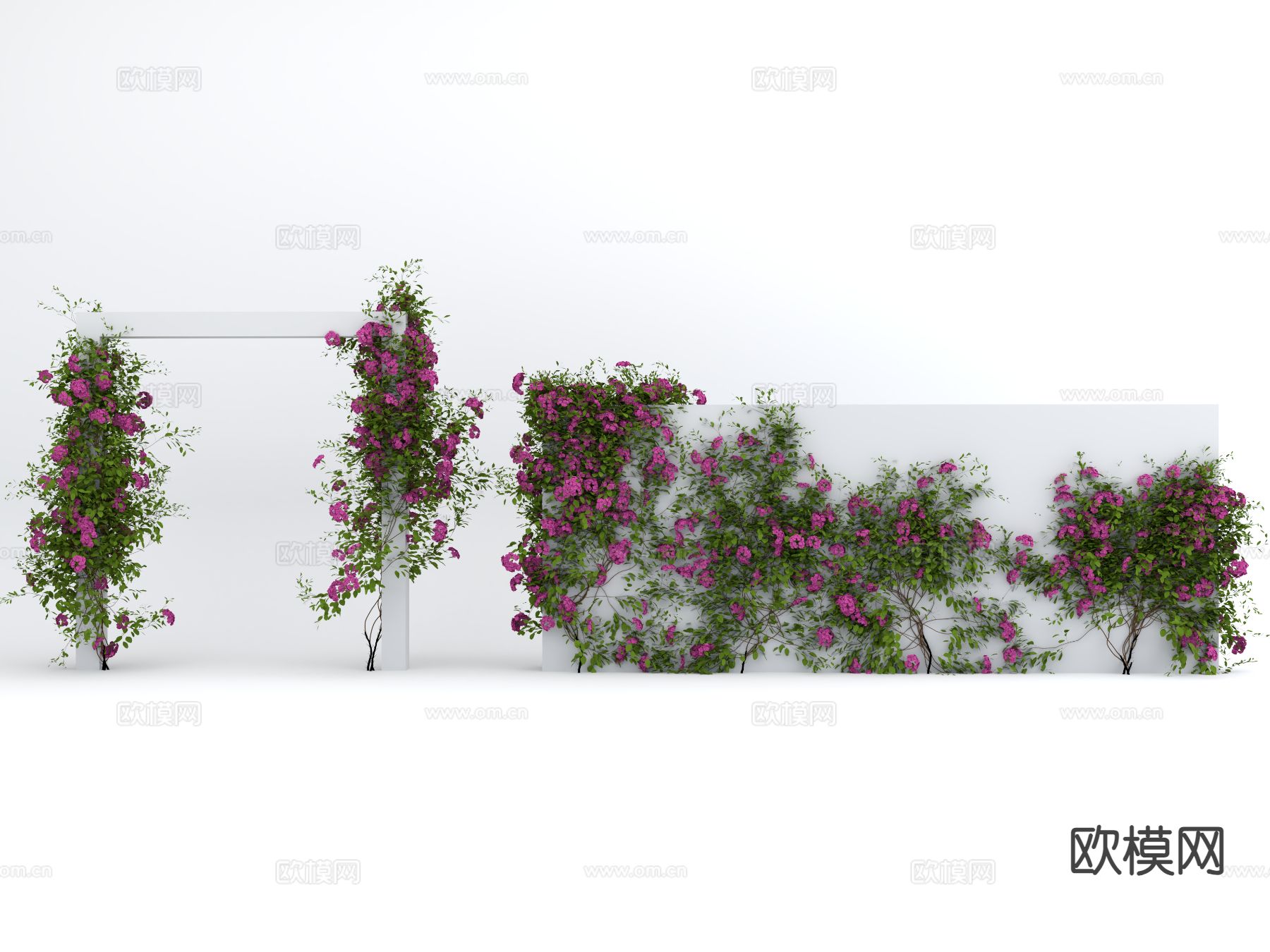 藤蔓 爬藤 月季 凌霄 爬墙虎su模型下载（渲染图2）