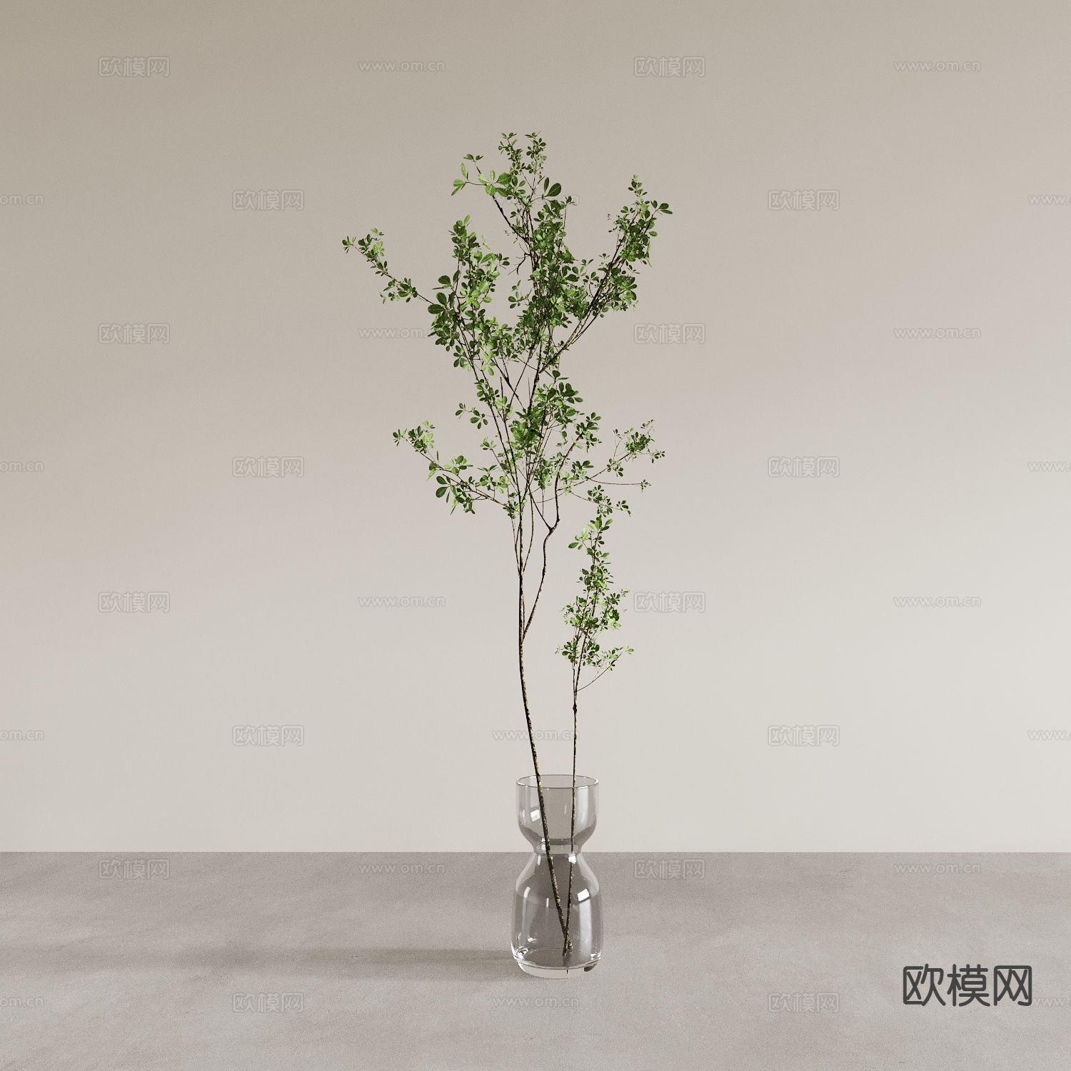 水生植物 水培绿植3d模型