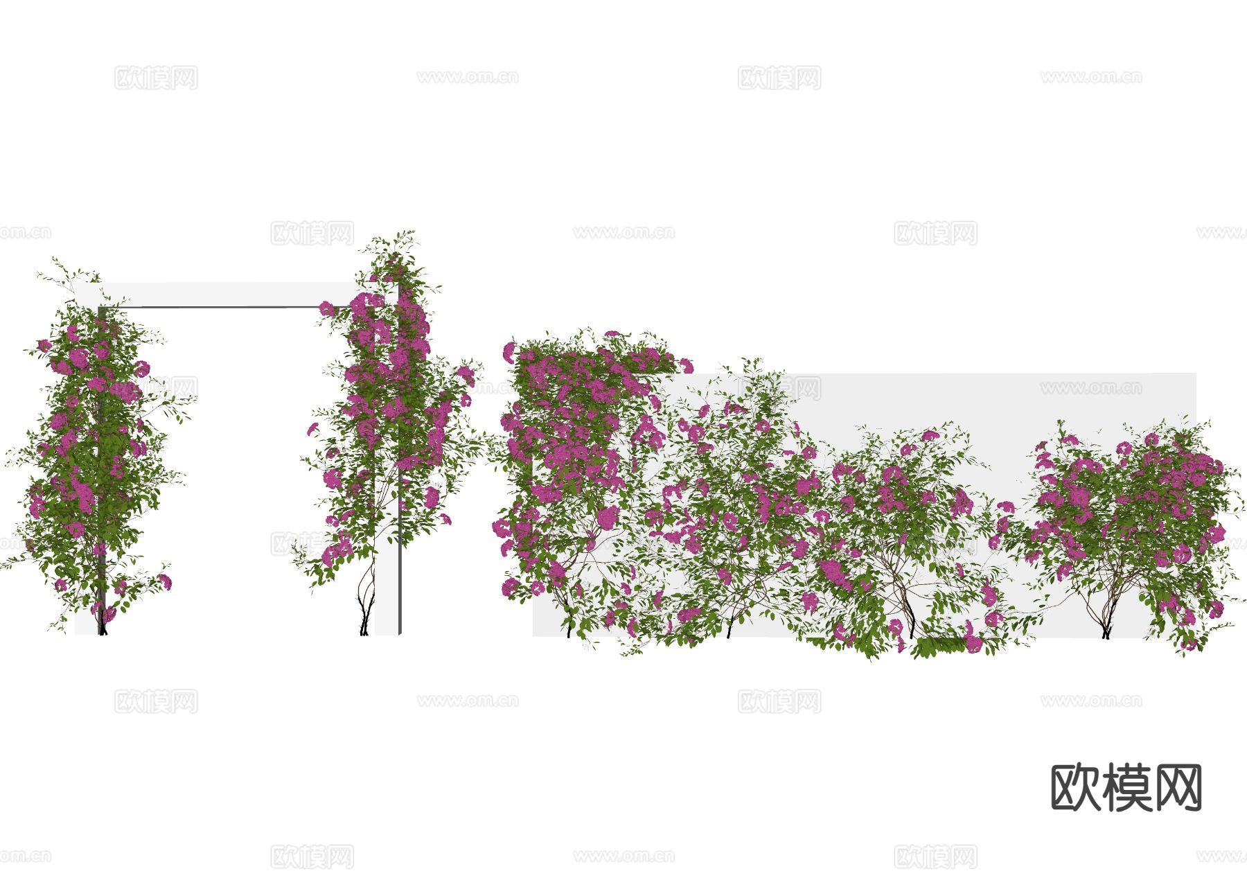 藤蔓 爬藤 月季 凌霄 爬墙虎su模型下载（渲染图1）