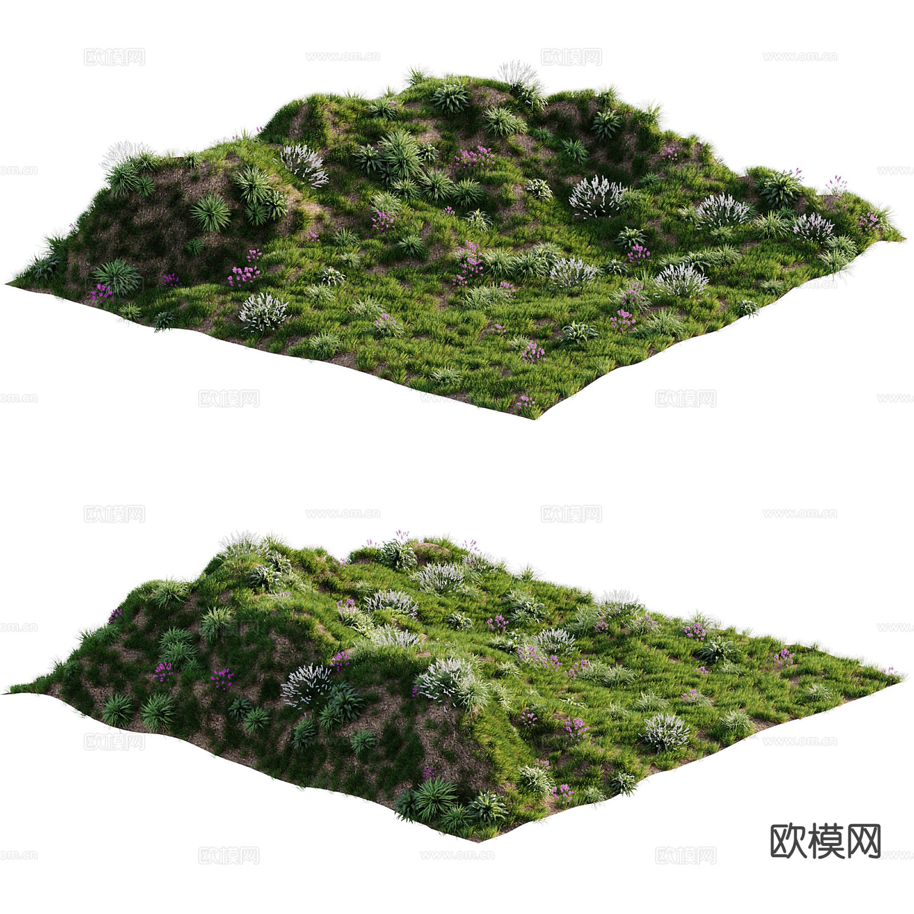 草坪 草地 荒草 苔藓地3d模型下载（渲染图2）