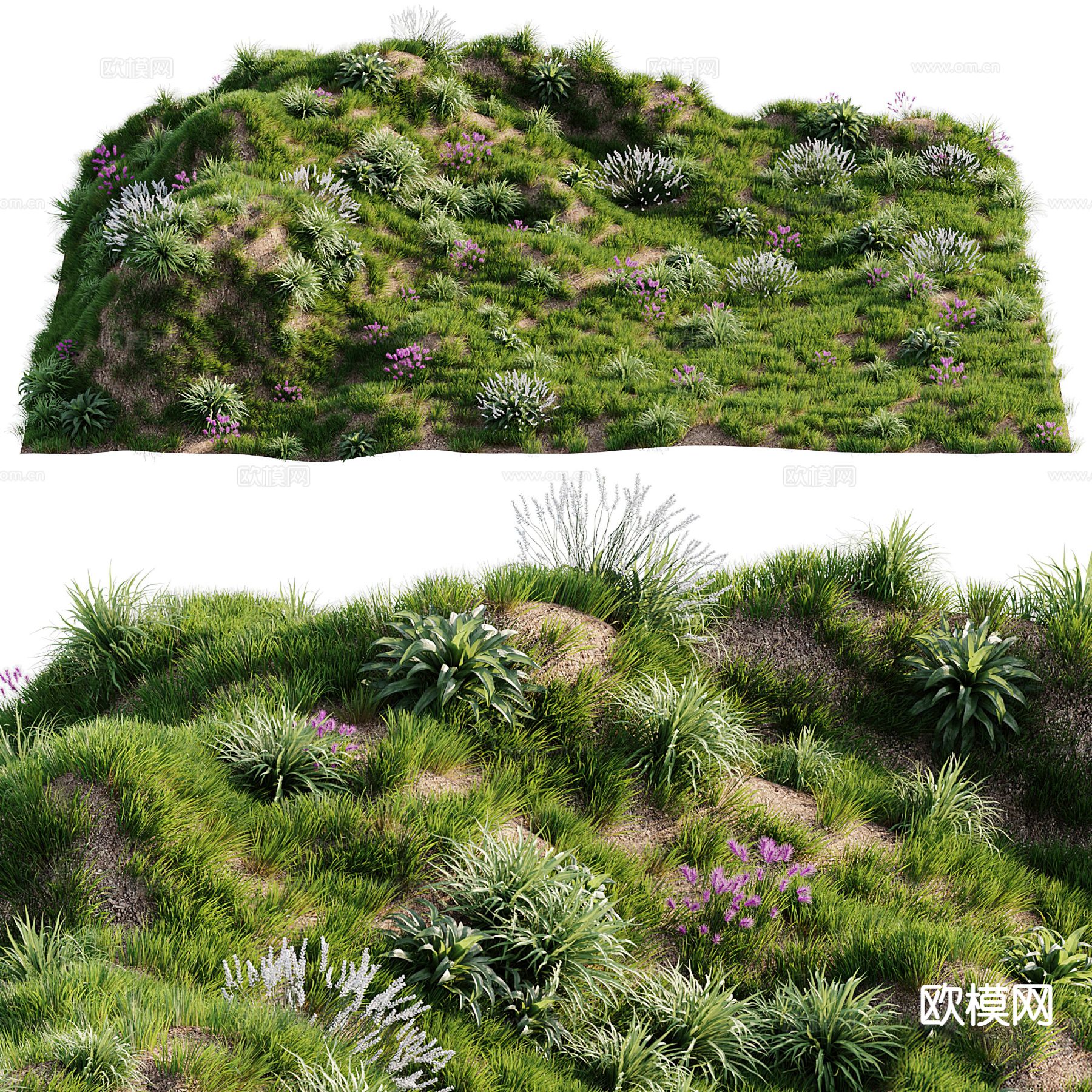 草坪 草地 荒草 苔藓地3d模型下载（渲染图1）