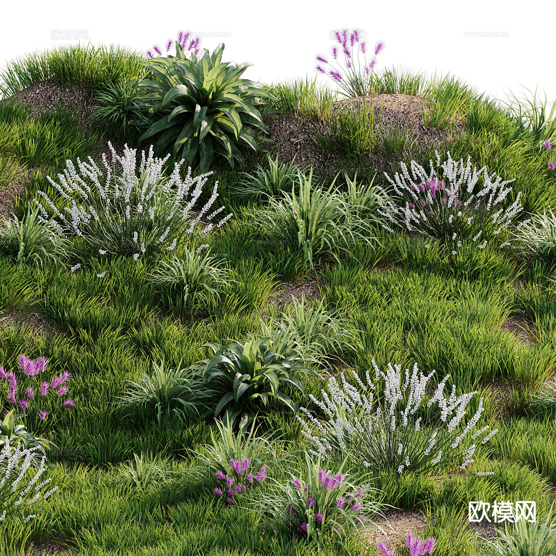 草坪 草地 荒草 苔藓地3d模型下载（渲染图3）