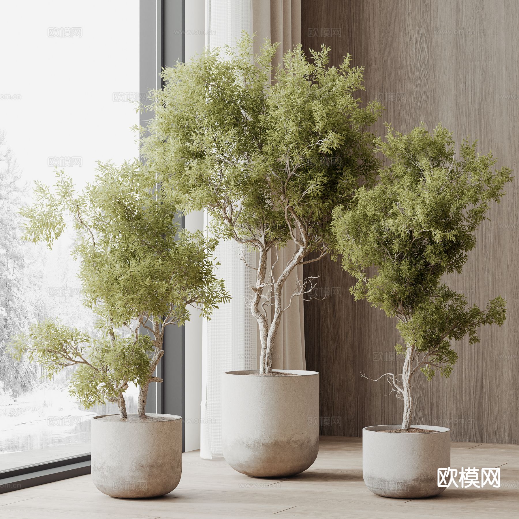 树 植物 盆栽3d模型