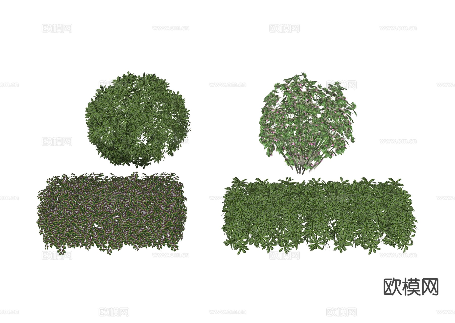 造型灌木 绿篱 灌木球su模型下载（渲染图1）