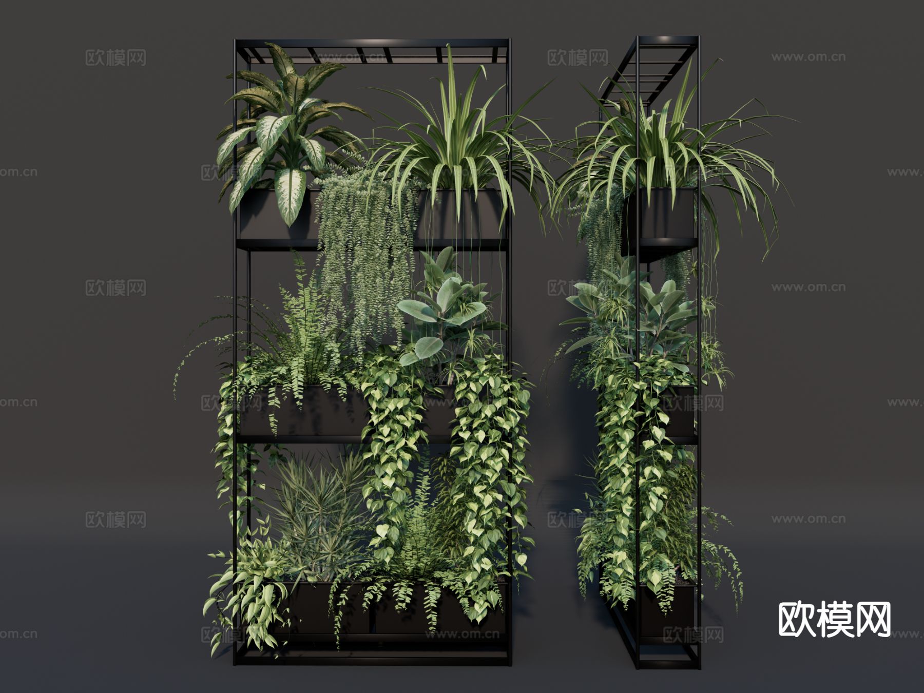 现代植物架 绿植隔断 办公区隔断3d模型