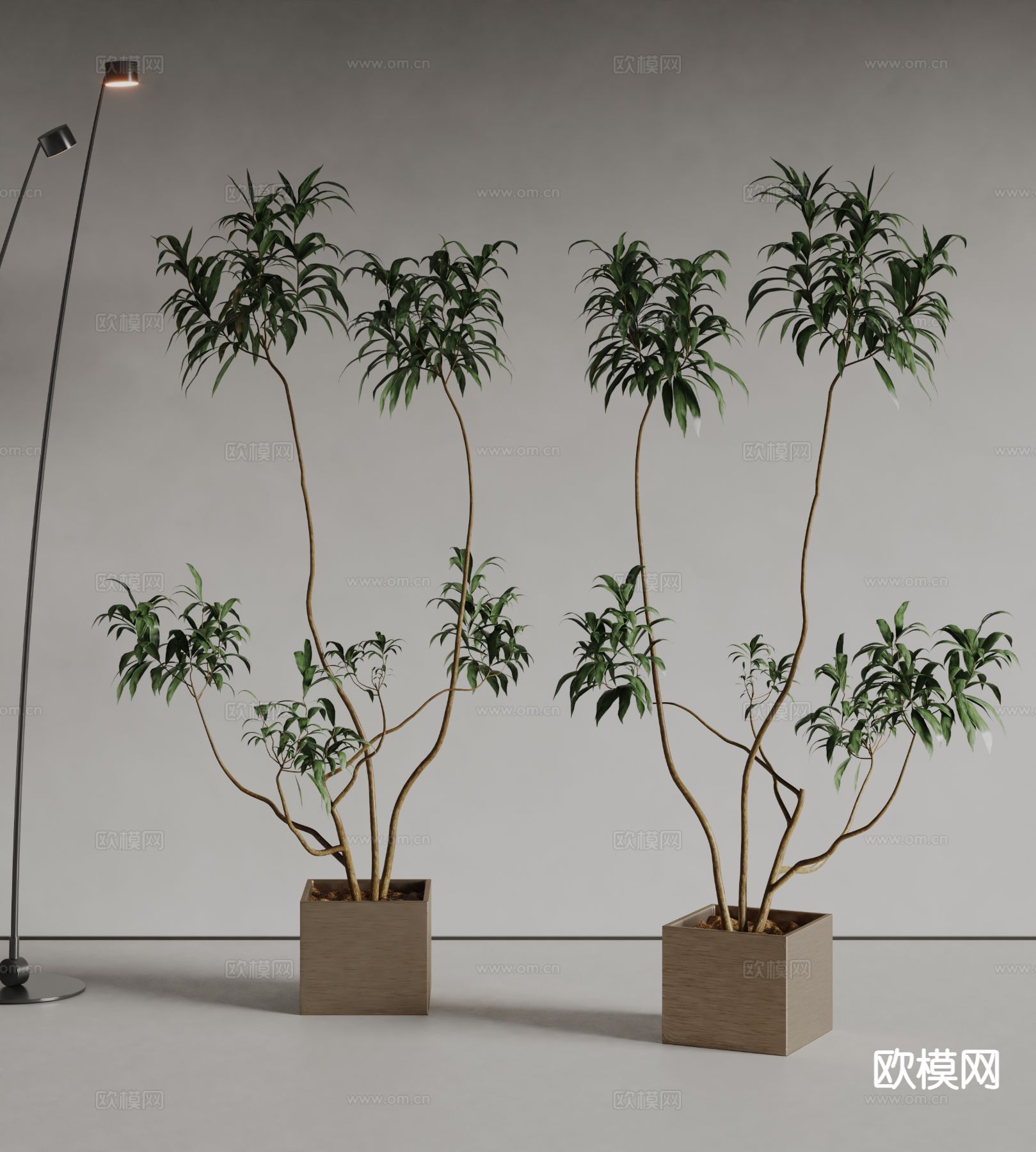 植物 盆栽 盆景 绿植3d模型