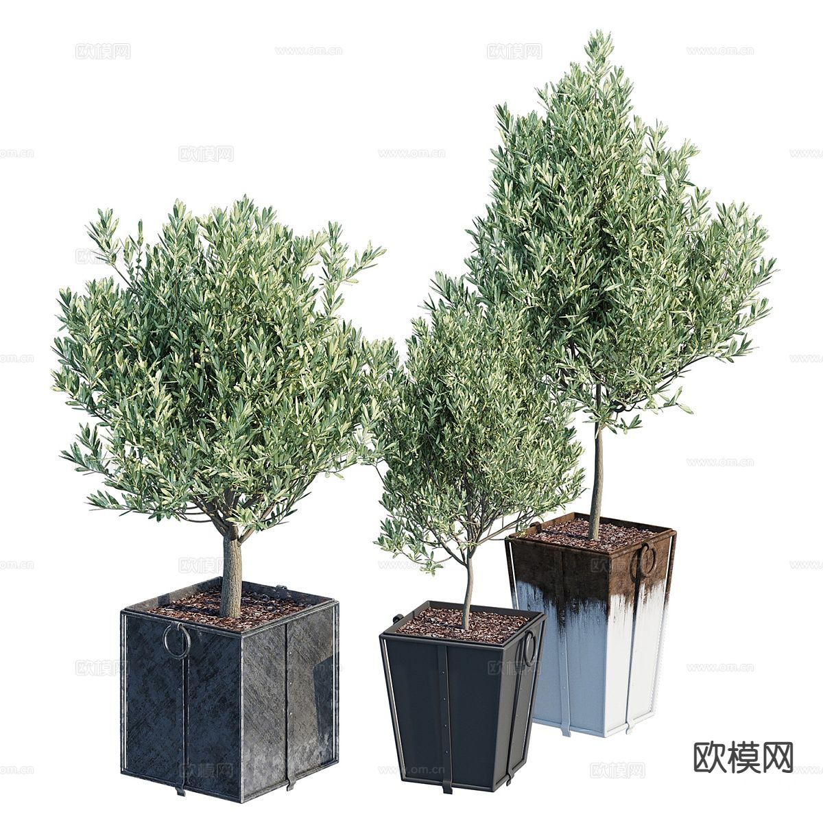 盆栽 盆景 室内绿植 花盆3d模型