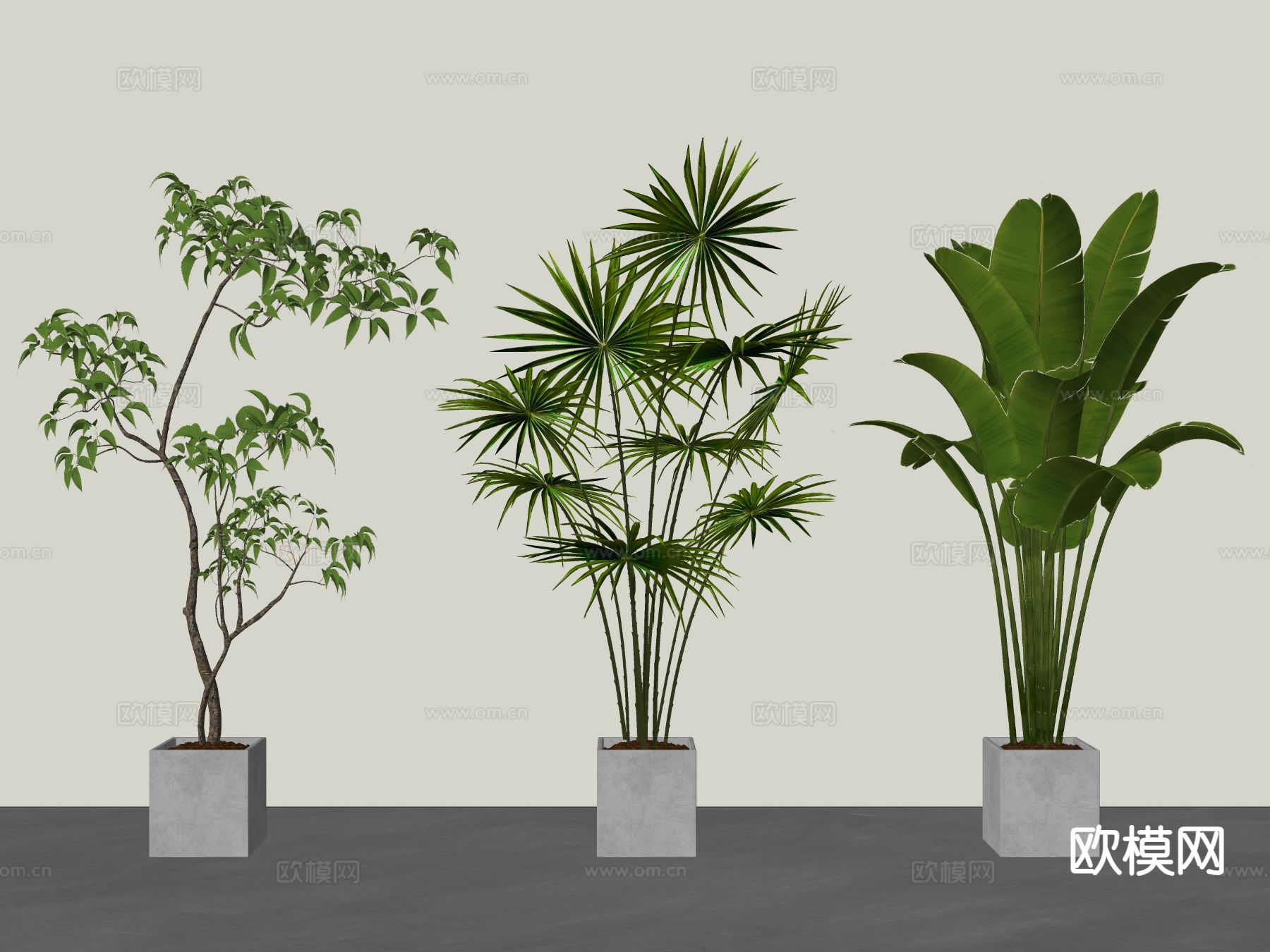 植物盆栽 绿植su模型