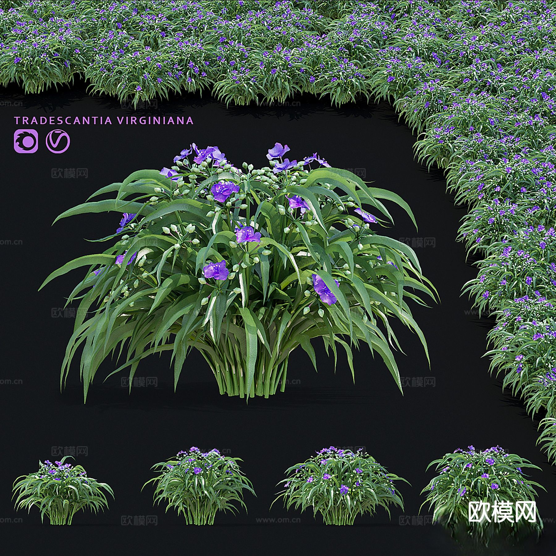 花草 灌木3d模型下载