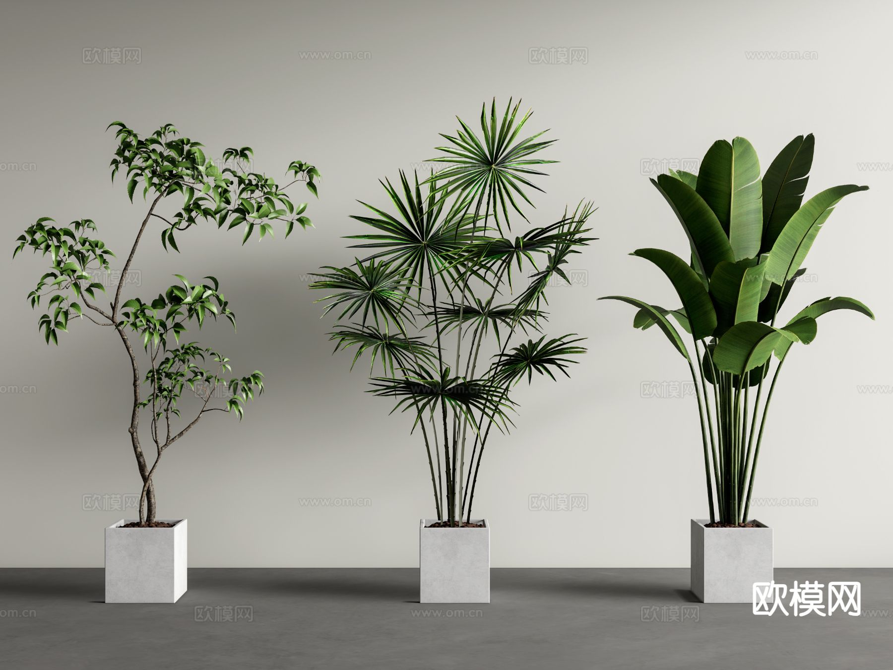 植物盆栽 绿植su模型