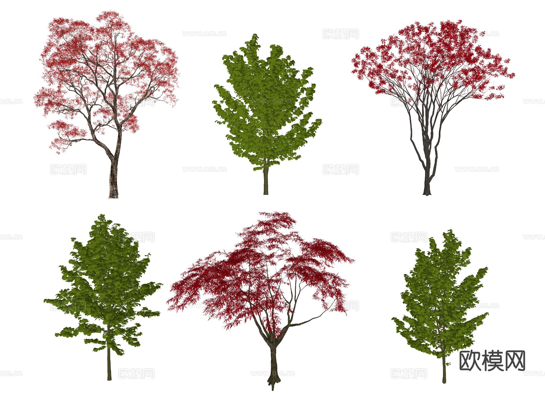 景观树 红叶树 红枫 青枫 鸡爪槭su模型下载（渲染图1）