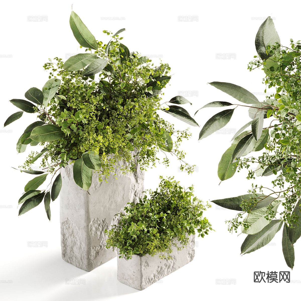 现代花坛 绿植 植物3d模型